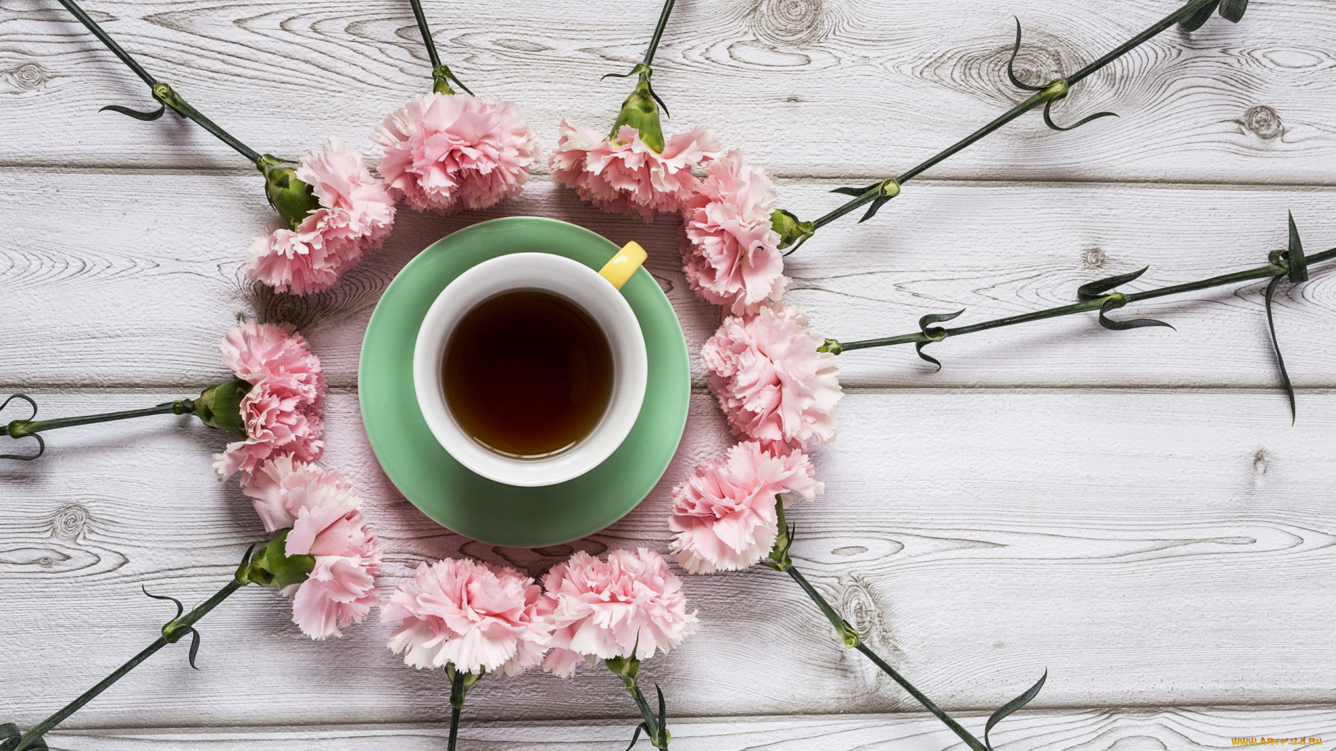 еда, кофе, , кофейные, зёрна, розовая, гвоздика, чашка, блюдце