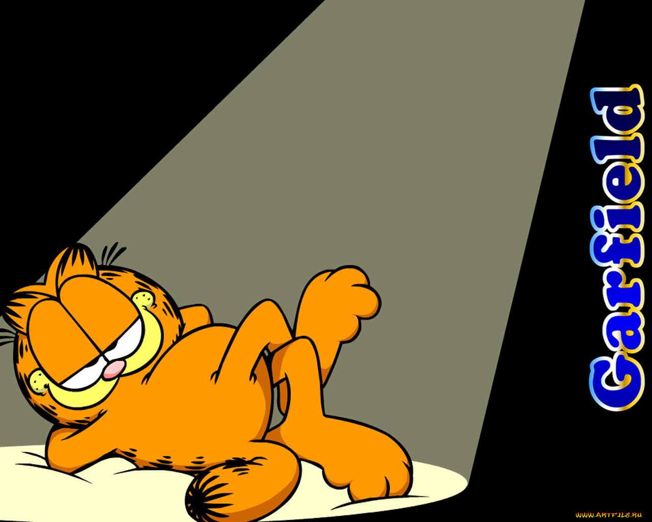 мультфильмы, garfield