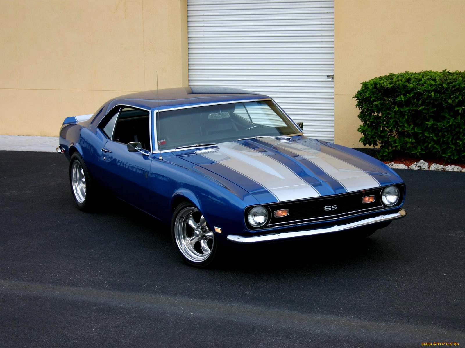 автомобили, camaro