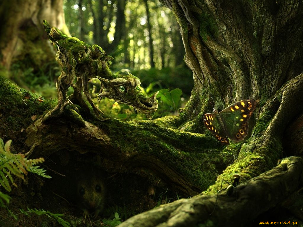 фэнтези, существа