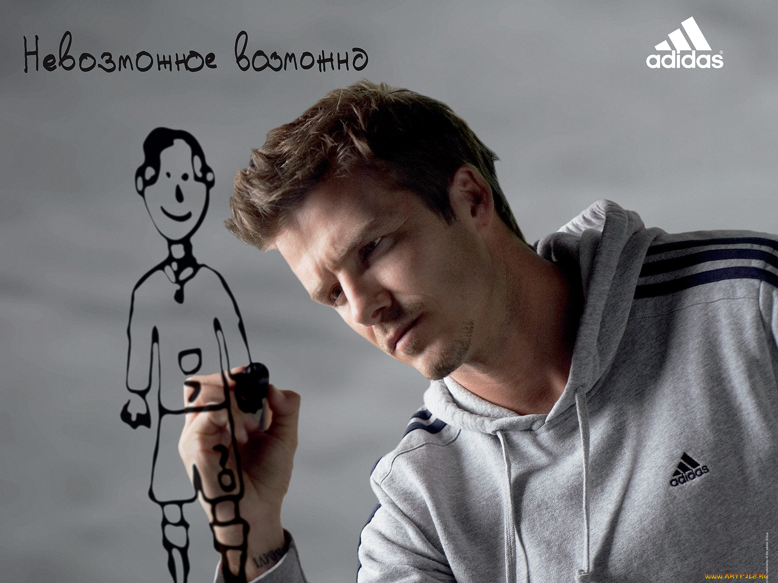 бренды, adidas