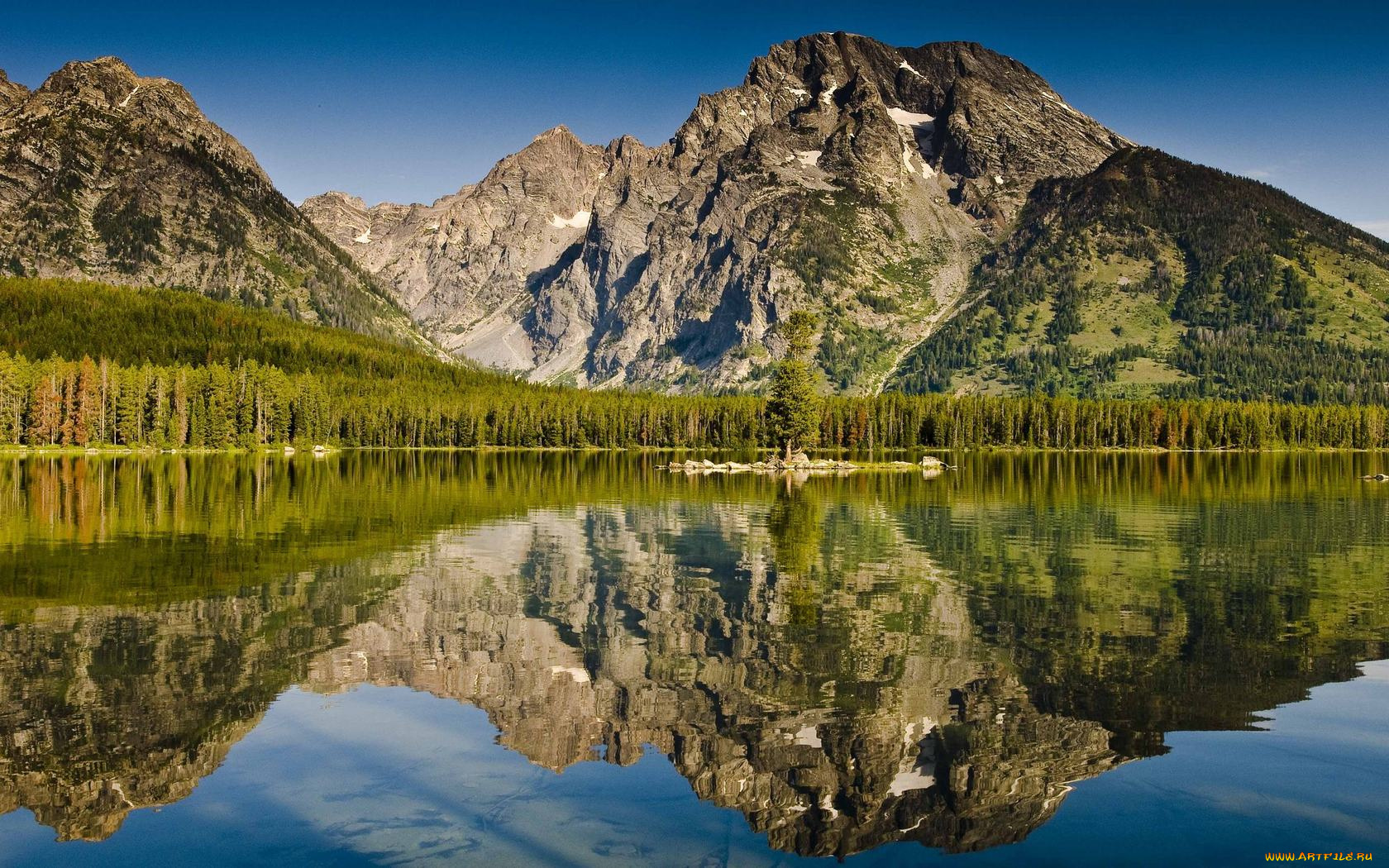 природа, реки, озера, вода, лес, отражение