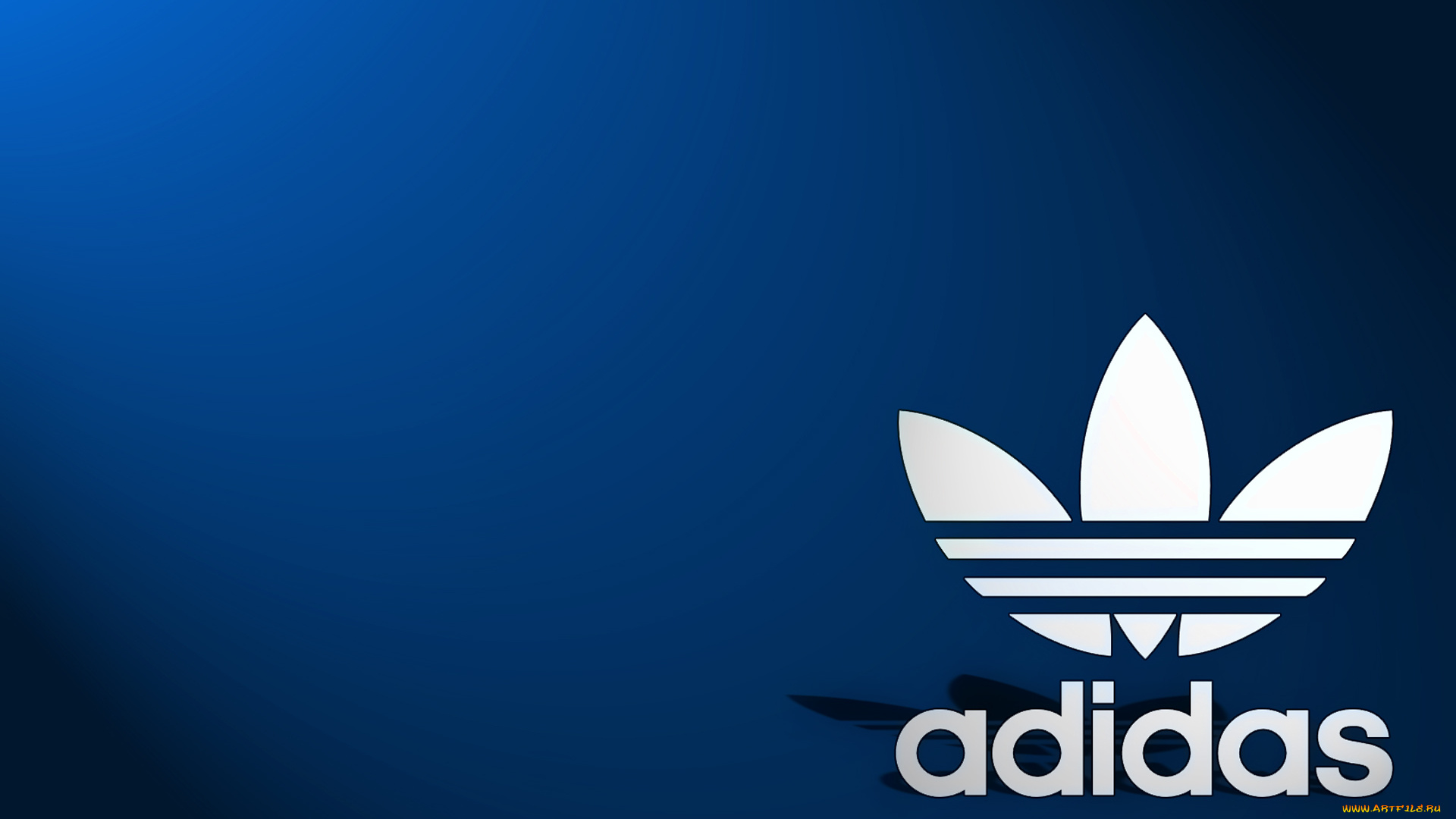 бренды, adidas