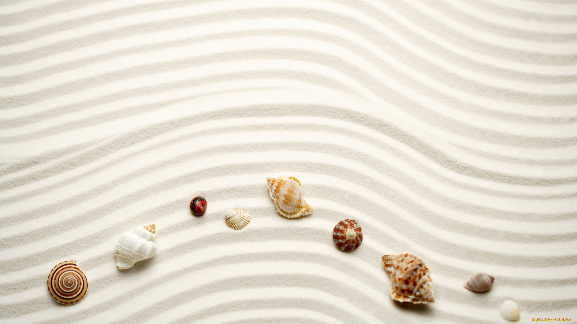 разное, ракушки, кораллы, декоративные, spa, камни, песок