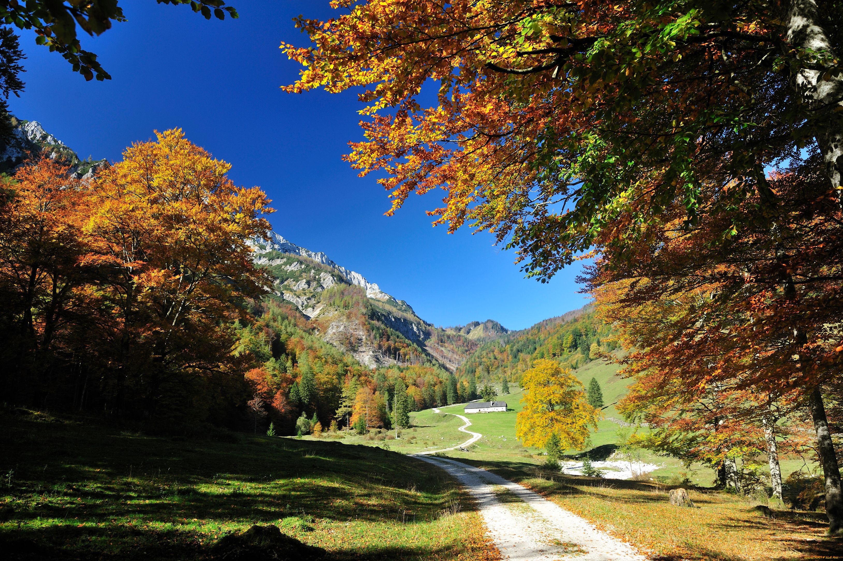 природа, дороги, осень