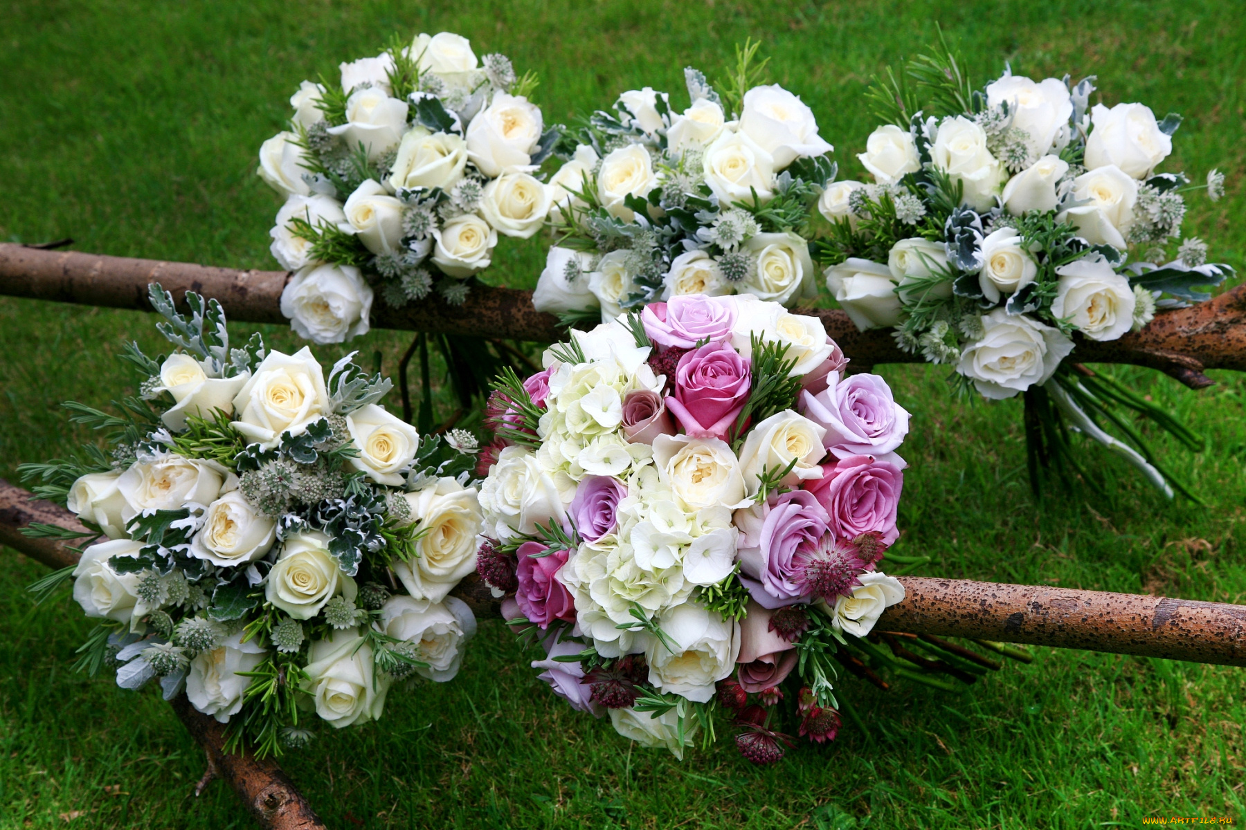 цветы, букеты, композиции, гортензия, астрантия, розы