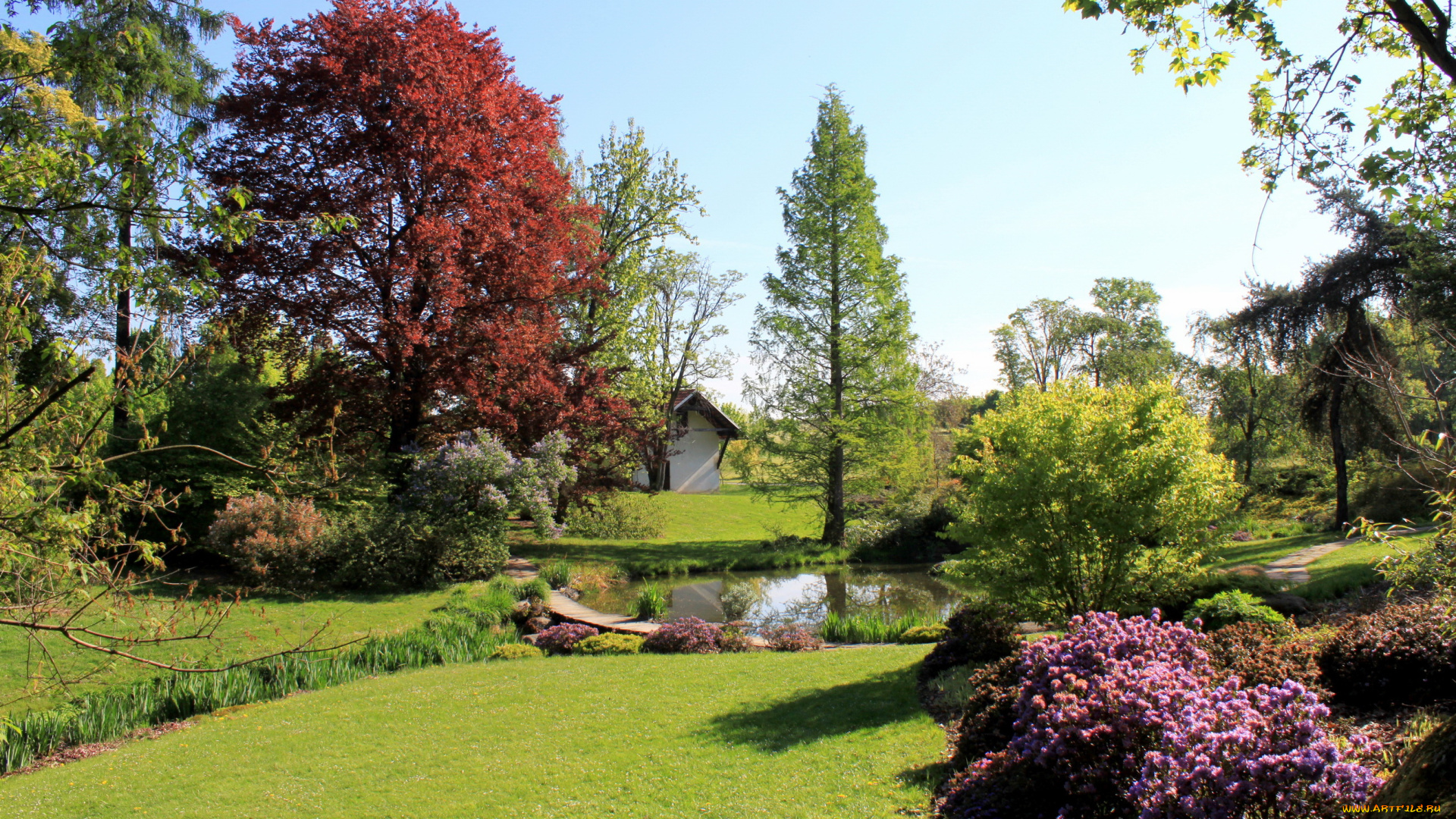 Чехия, pruhonice, природа, парк