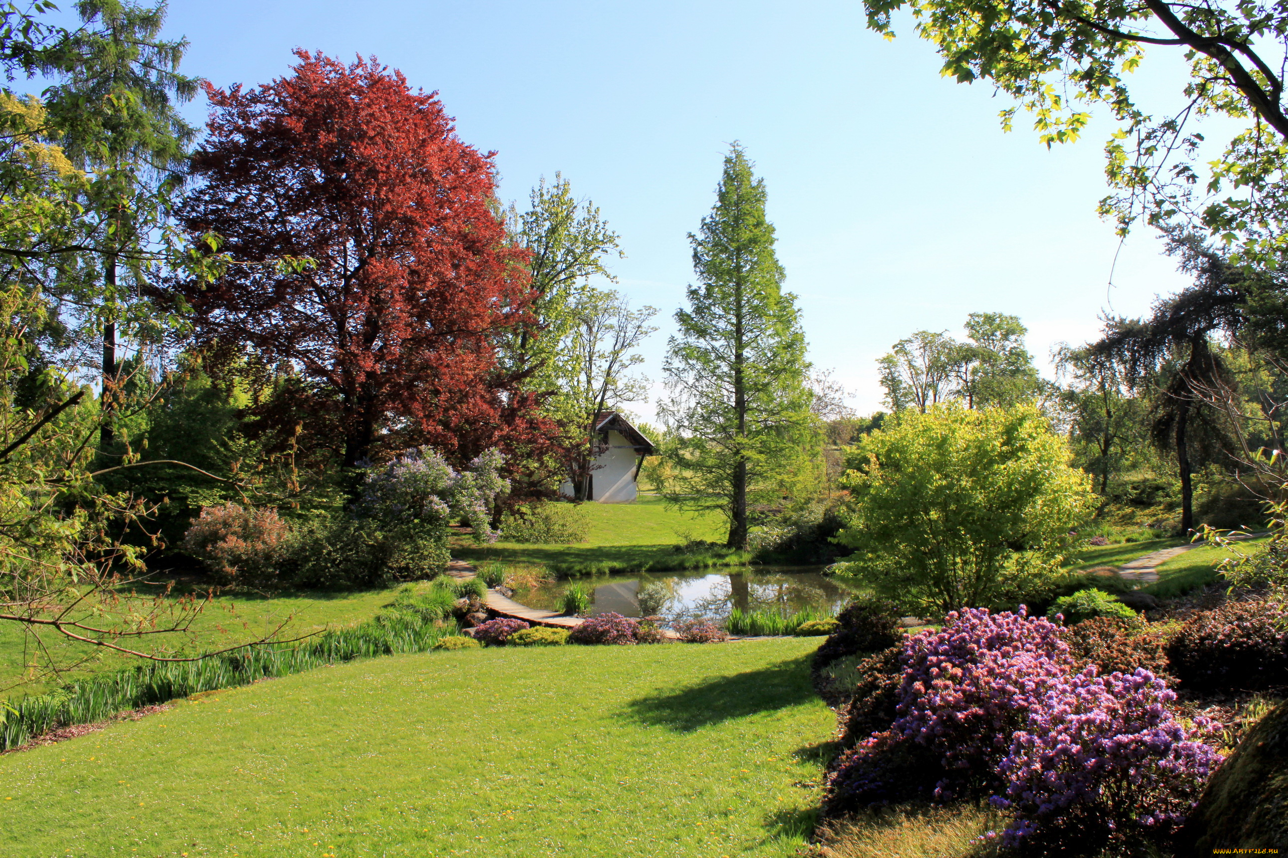 Чехия, pruhonice, природа, парк