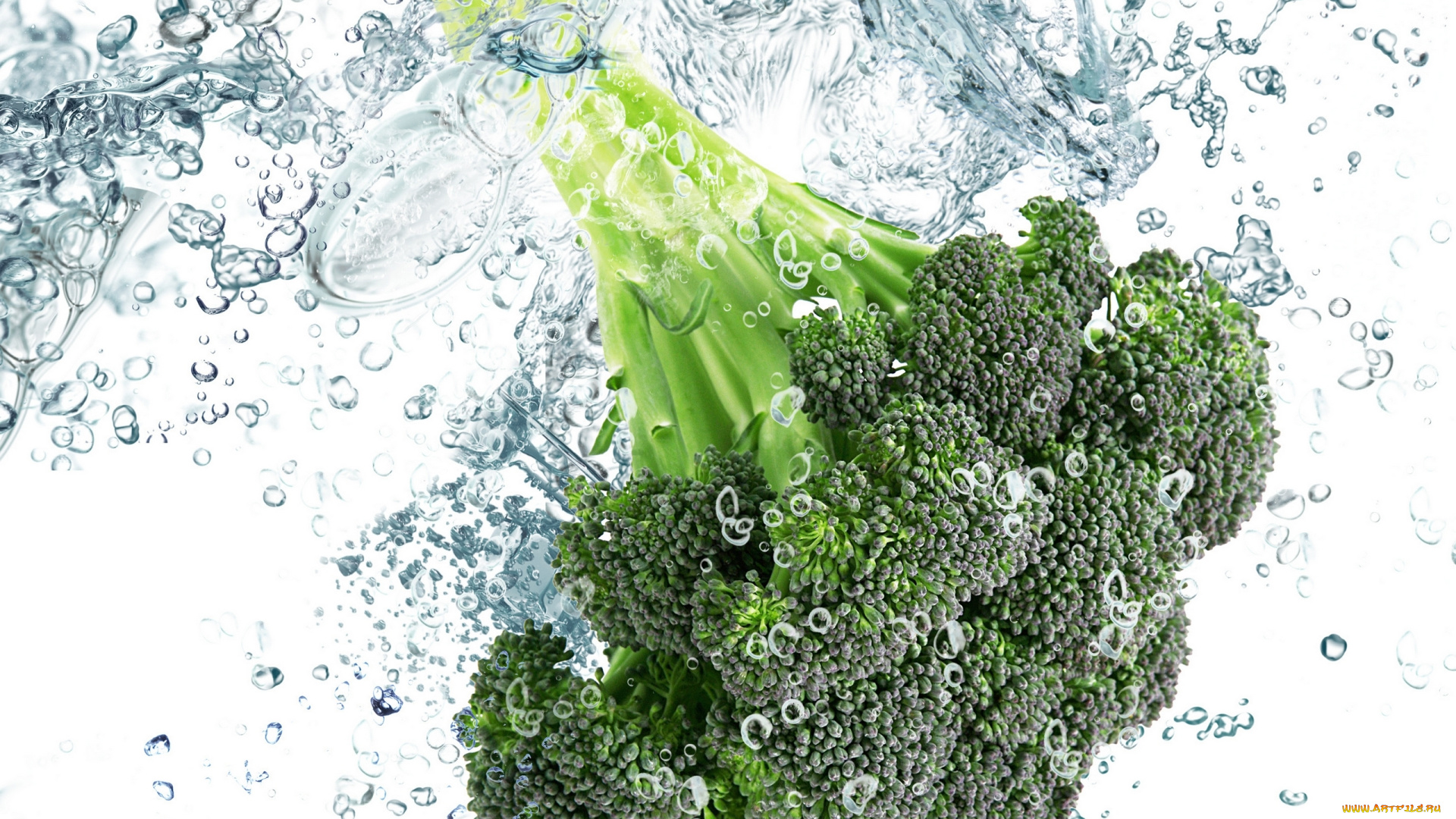 еда, капуста, её, разновидности, брокколи, свежесть, капли, брызги, вода, соцветия, зелёная