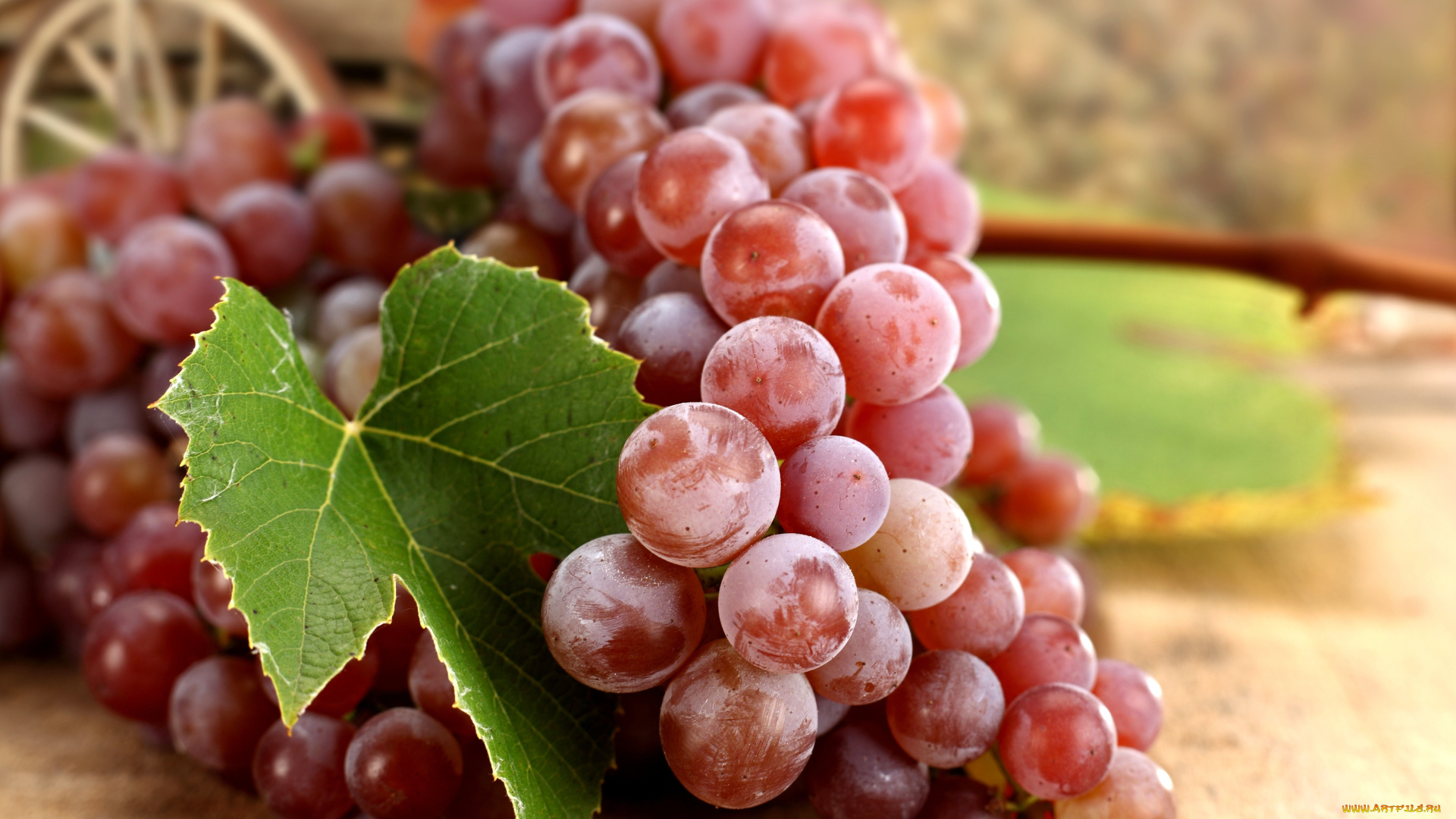 еда, виноград, осень, лист, ягоды, гроздь, красный