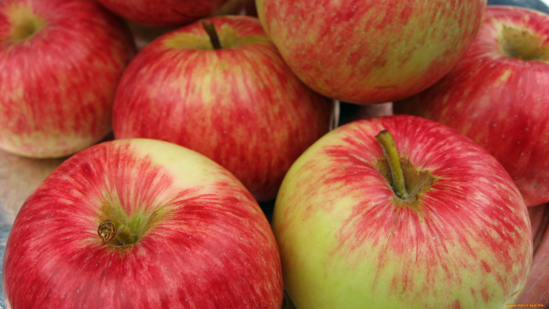 еда, Яблоки, яблоки