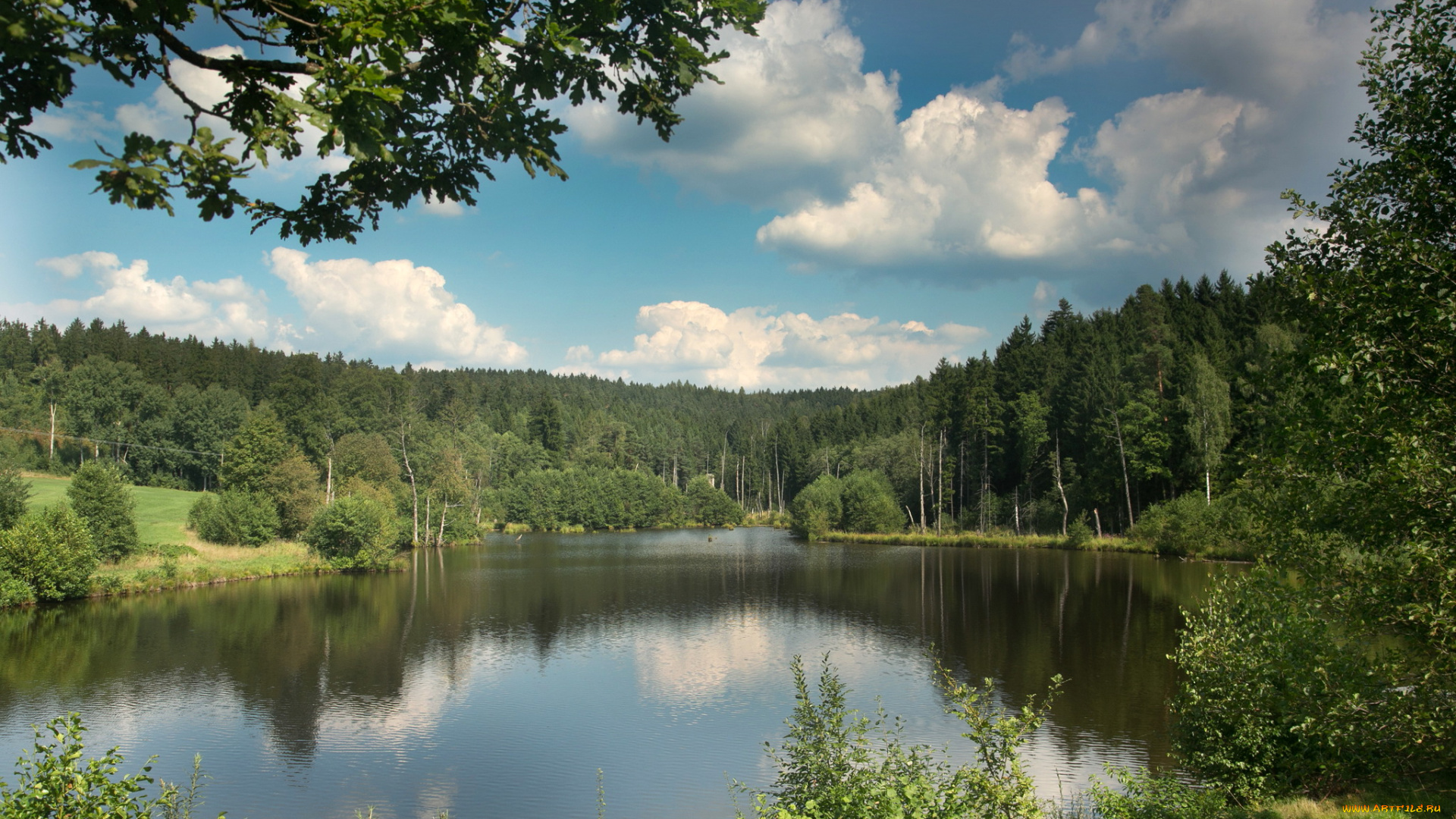 германия, бавария, природа, реки, озера, деревья, река