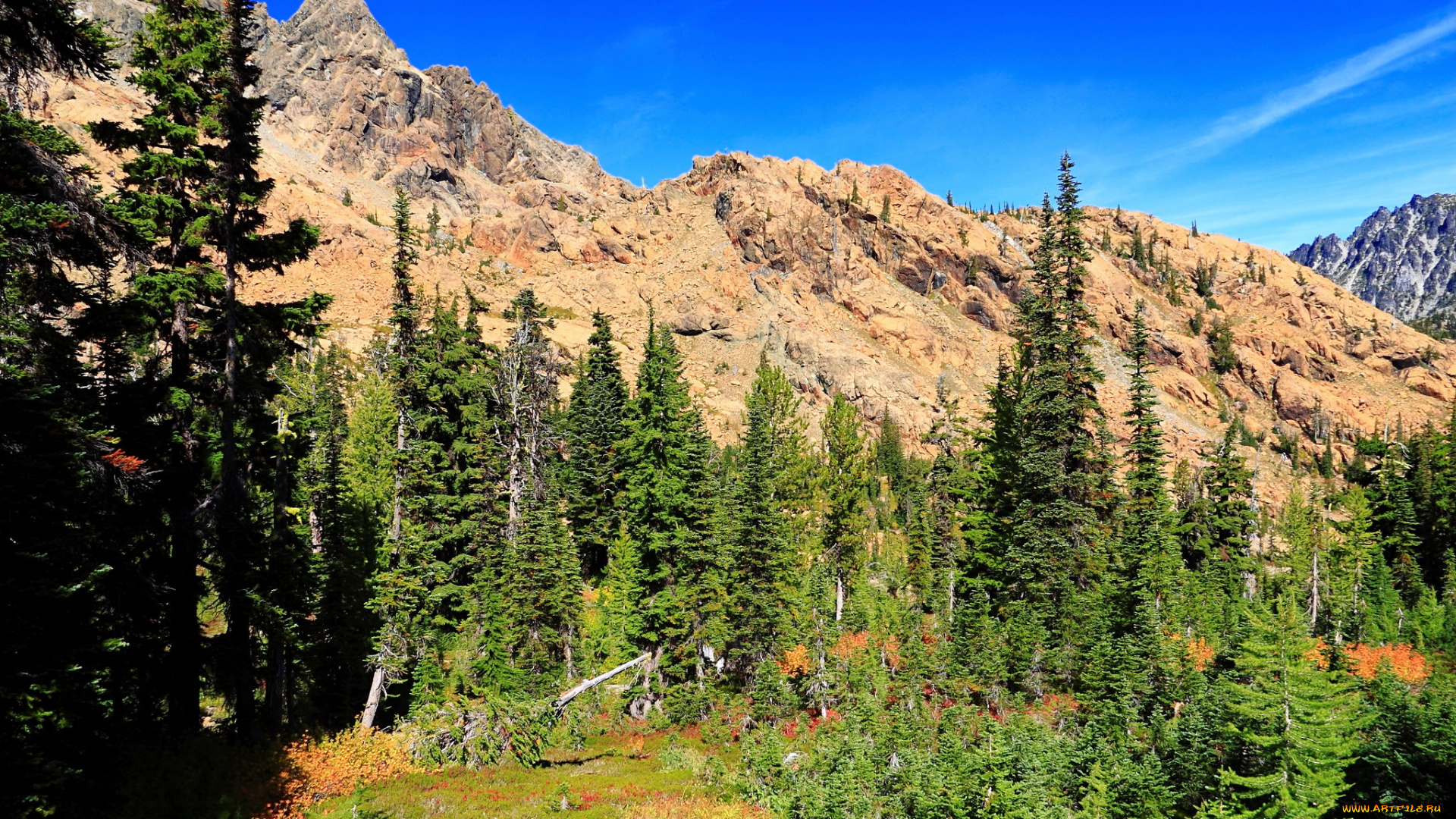 ливенворт, сша, природа, горы, ели