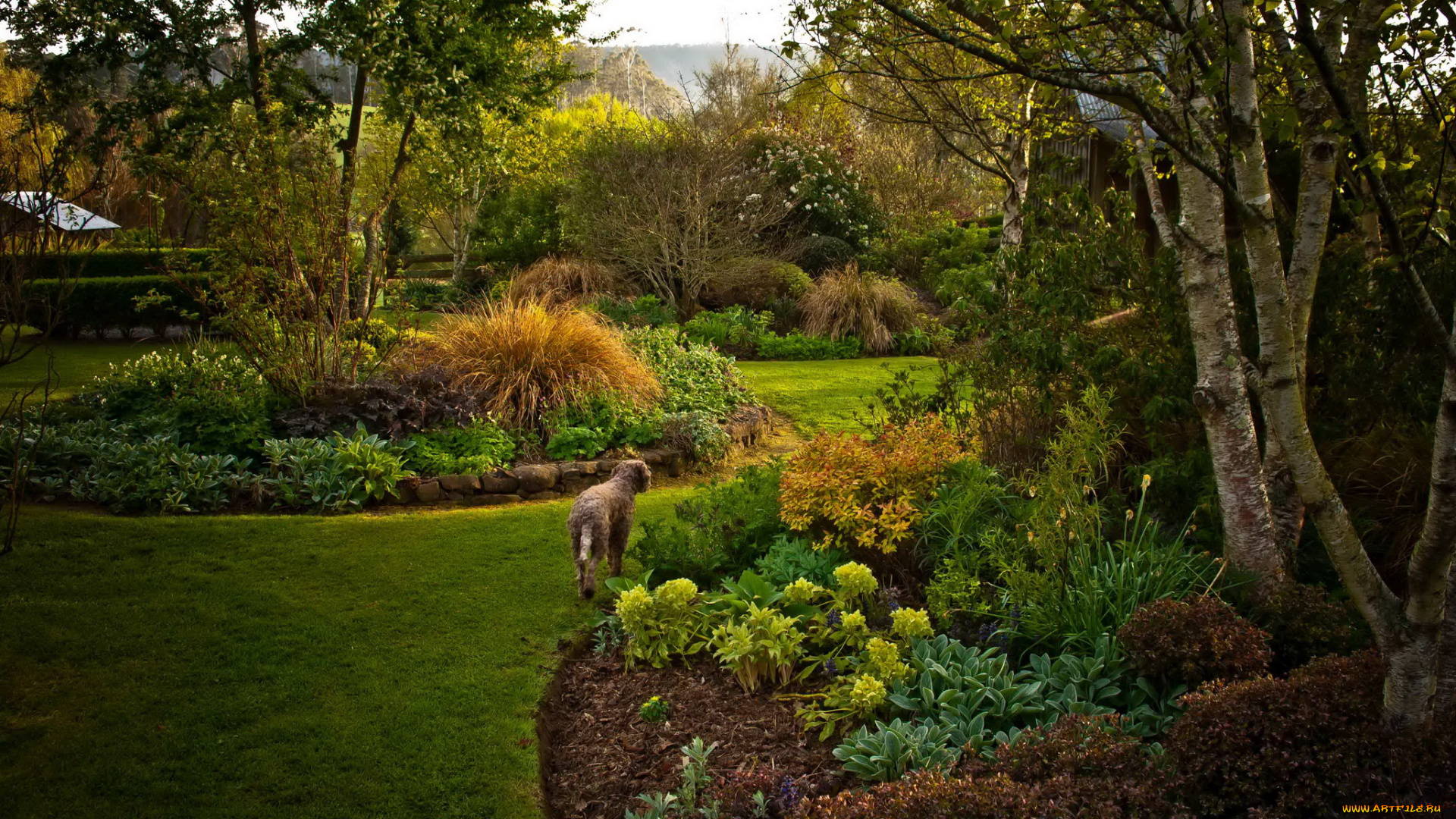 природа, парк, сад, цветы, деревья, клумбы