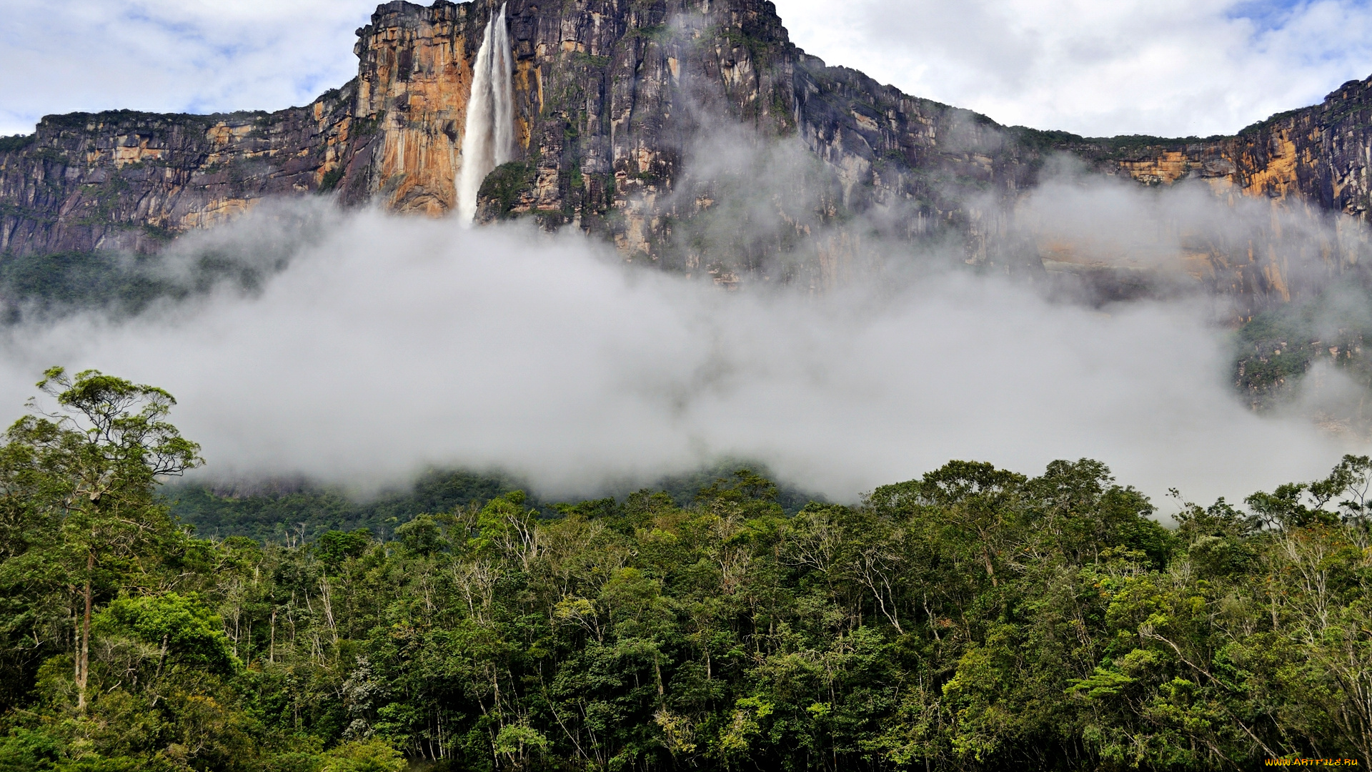 salto, angel, природа, горы, высочайший, в, мире, ангел, водопад, обрыв, джунгли