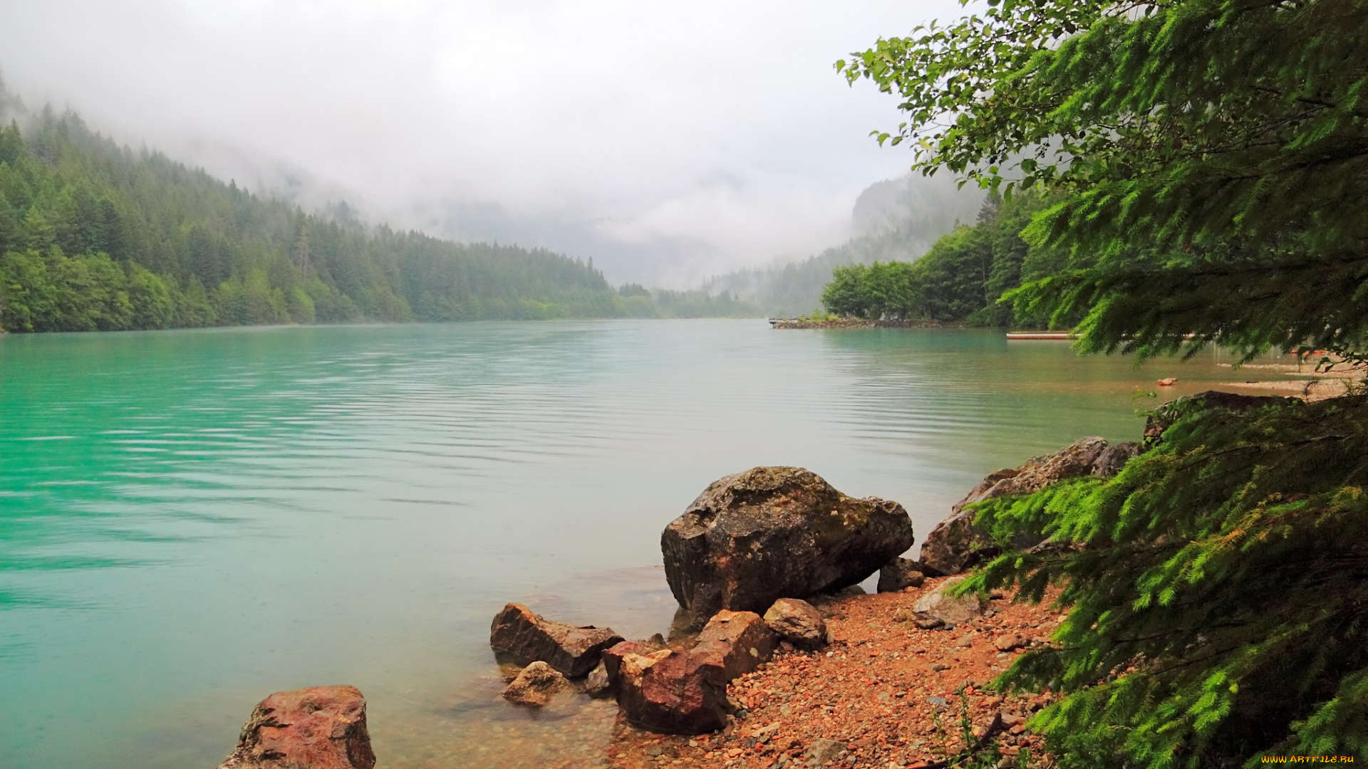 сша, rockport, природа, реки, озера, река, деревья, берег