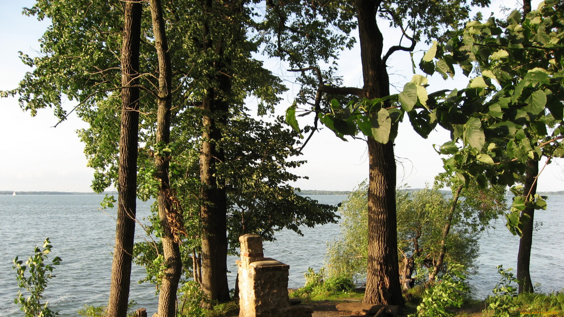 южный, уэльс, природа, деревья, река