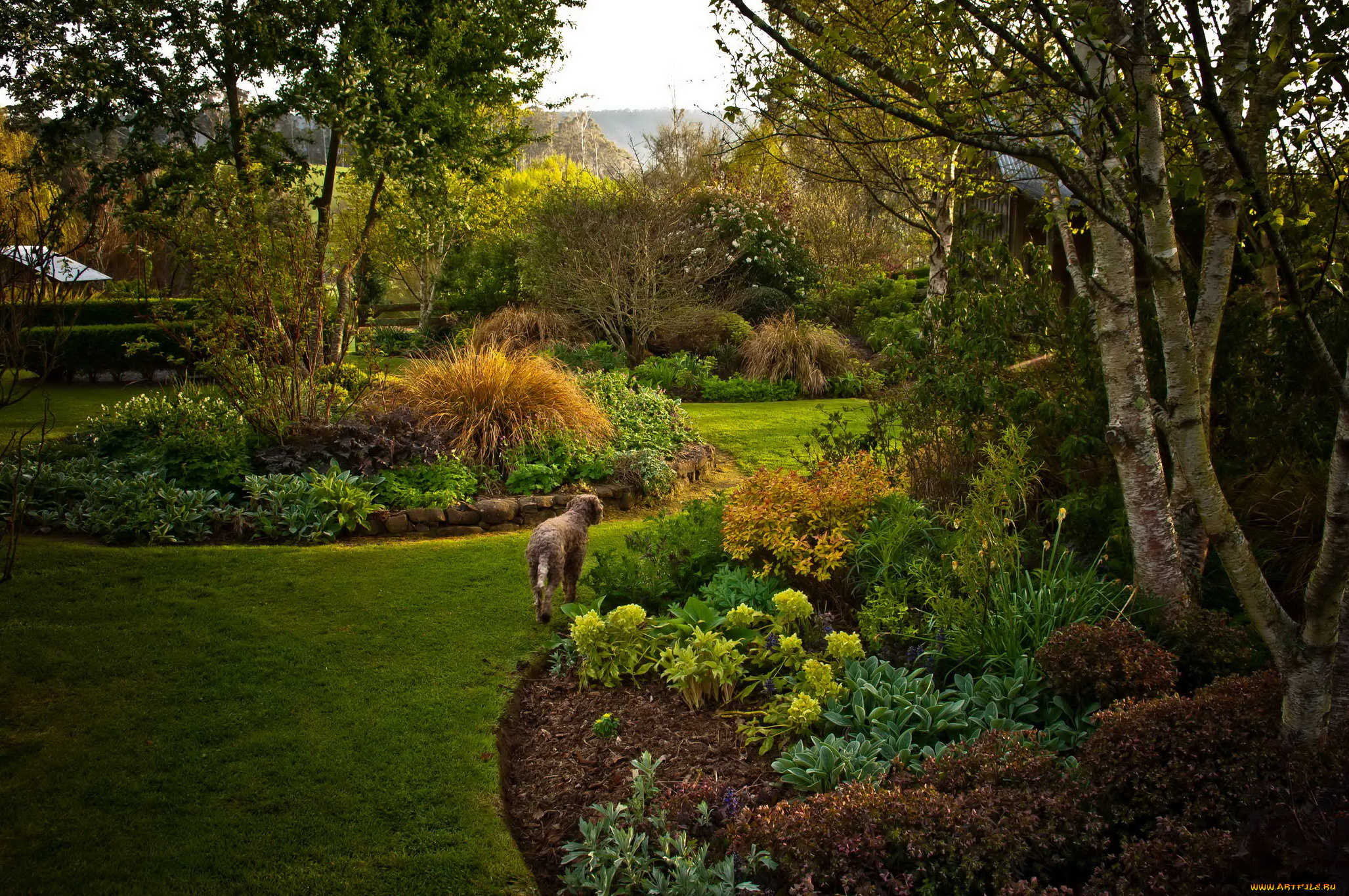 природа, парк, сад, цветы, деревья, клумбы