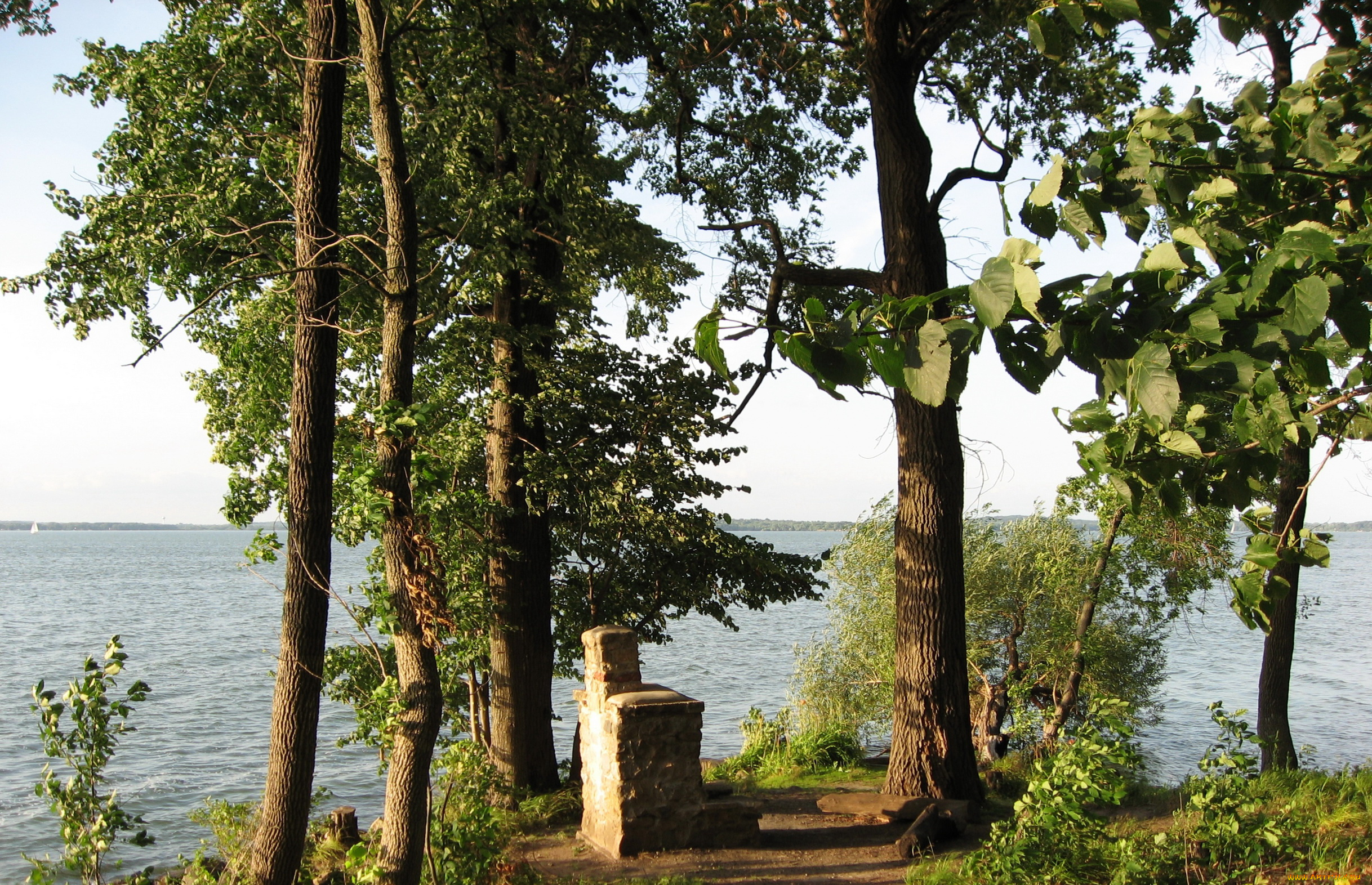 южный, уэльс, природа, деревья, река