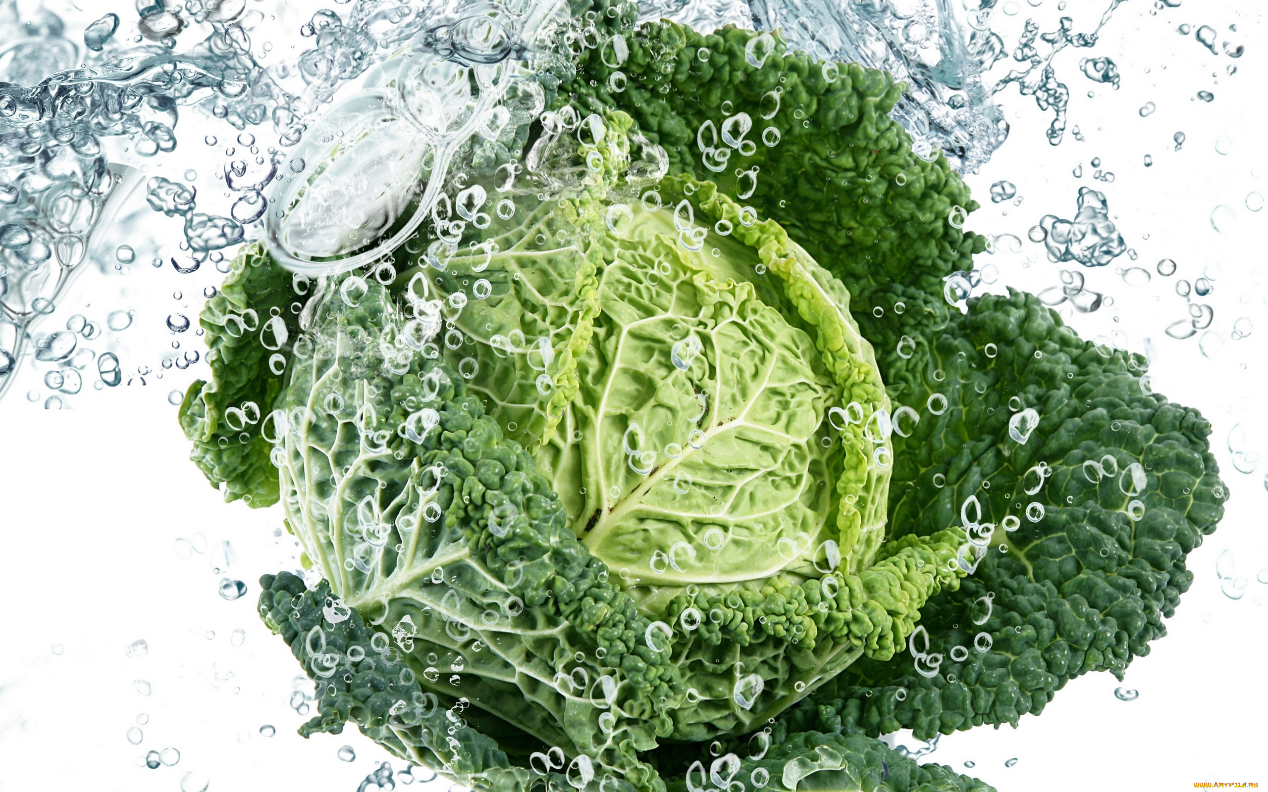 еда, капуста, её, разновидности, свежесть, капли, брызги, вода, листья