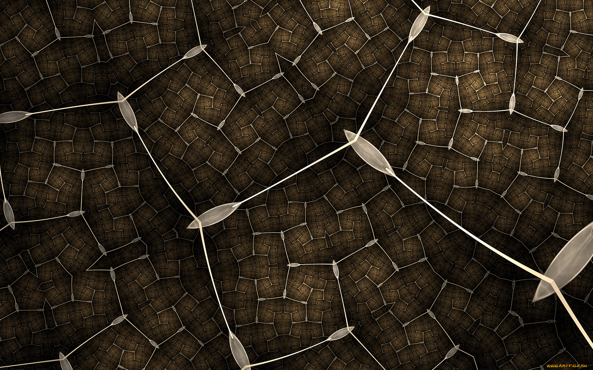 3д, графика, фракталы, , fractal, узор, фон, цвета