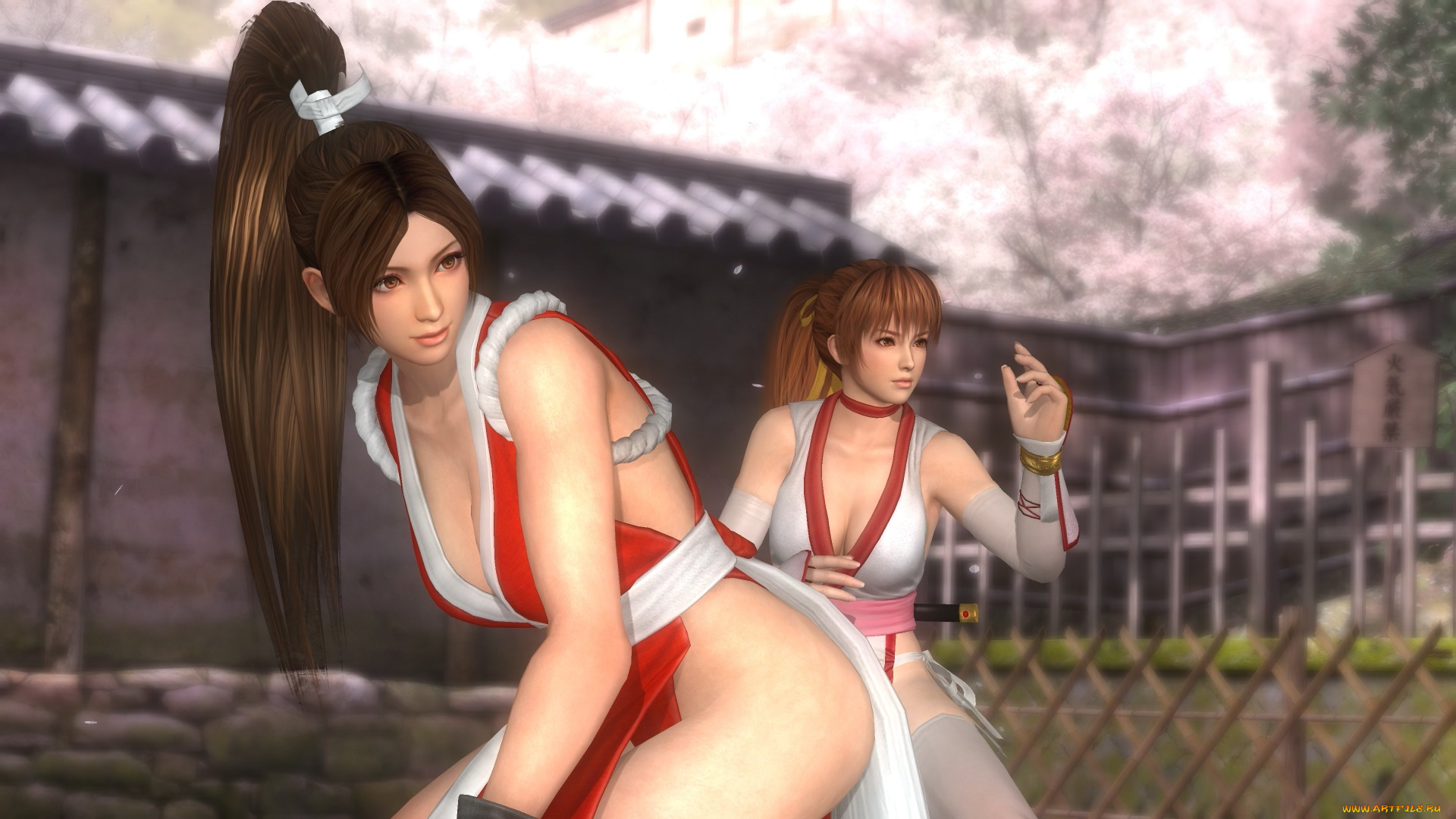 3д, графика, фантазия, , fantasy, взгляд, девушки, поза, фон