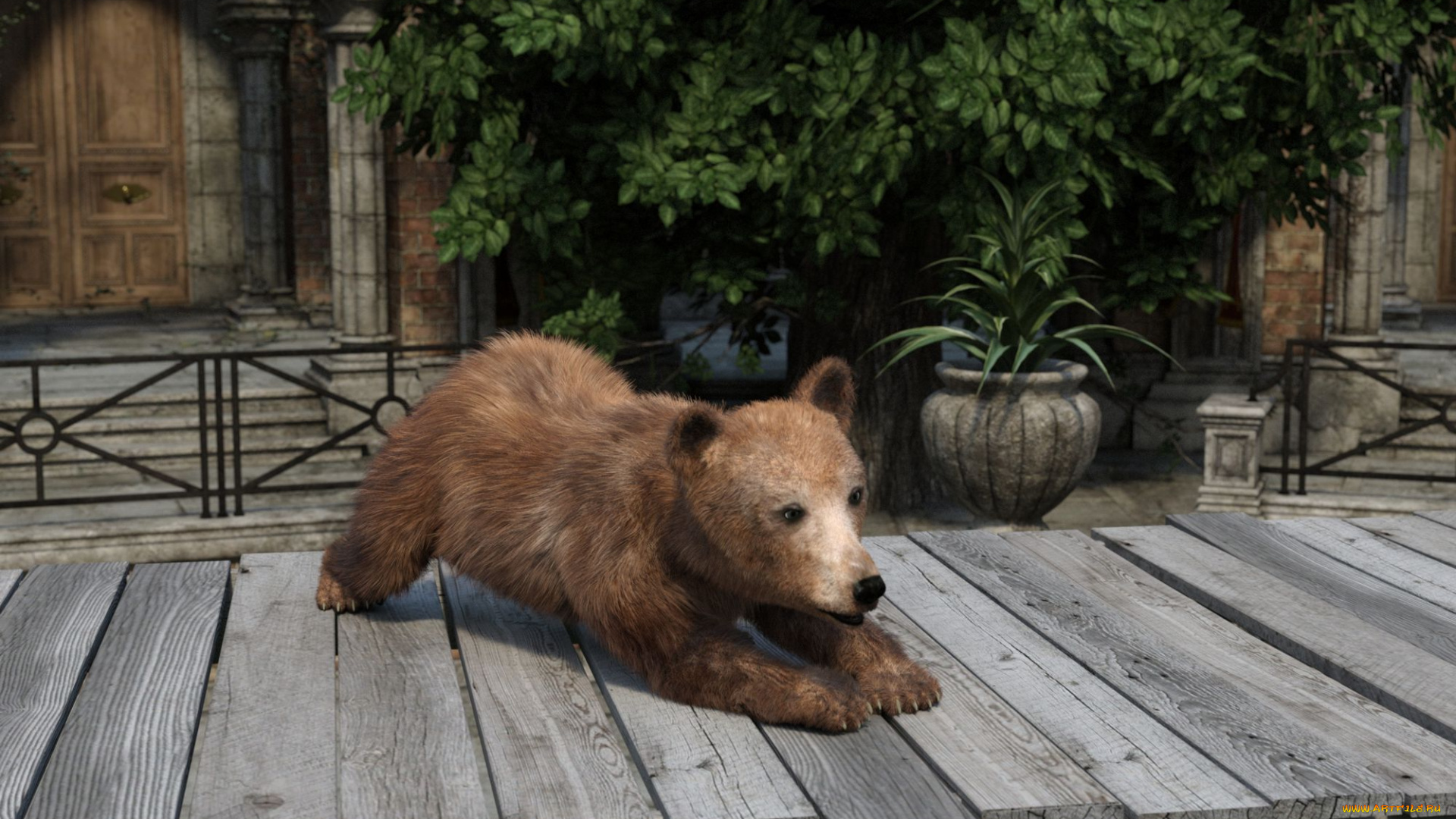 3д, графика, животные, , animals, фон, медведь