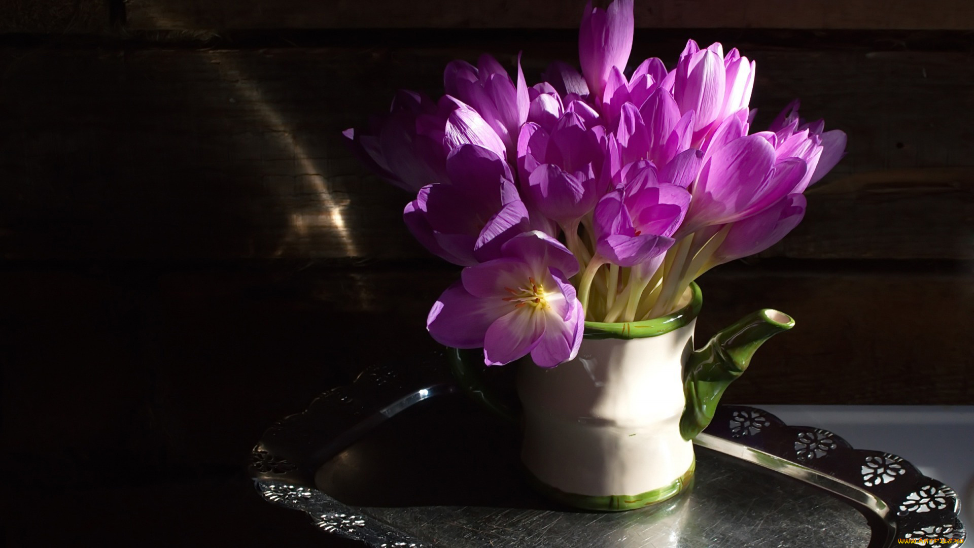 цветы, крокусы, первоцветы