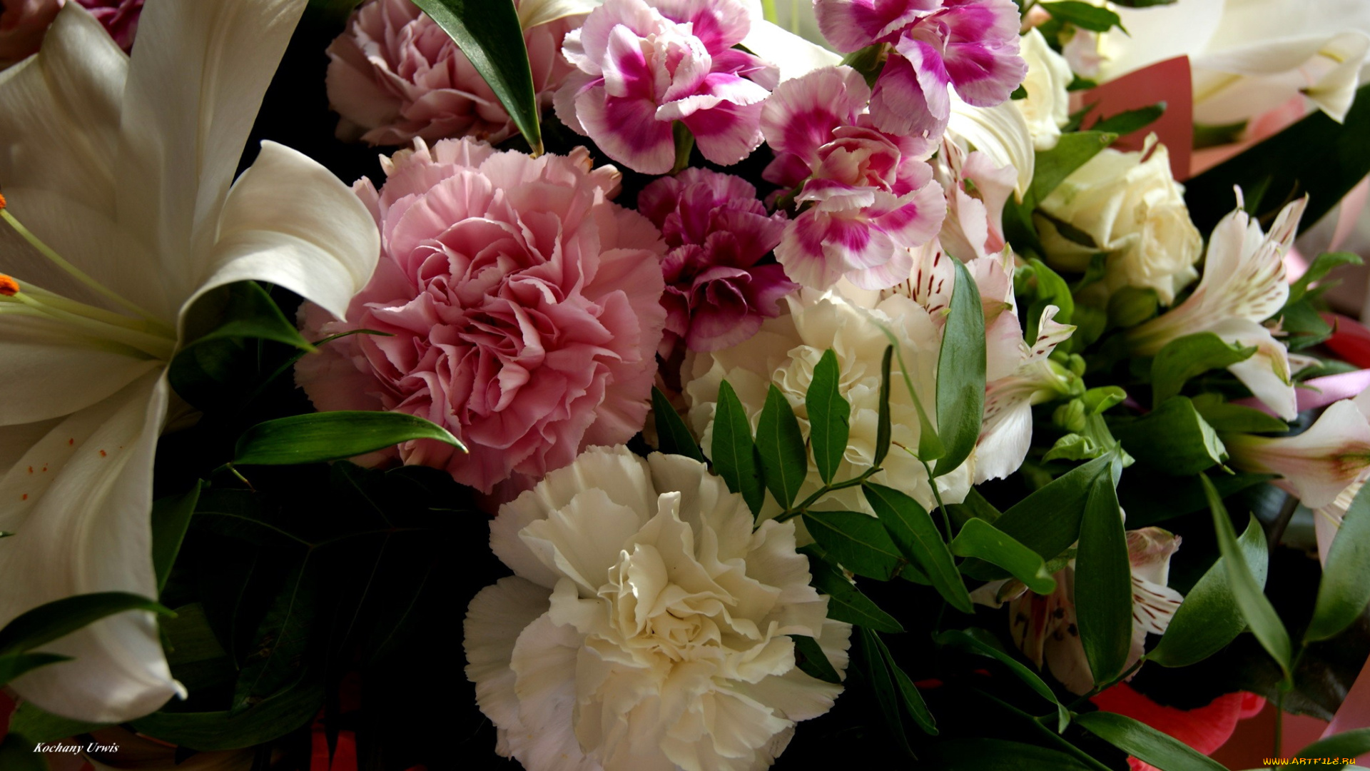 цветы, разные, вместе, гвоздики, лилия, альстромерия