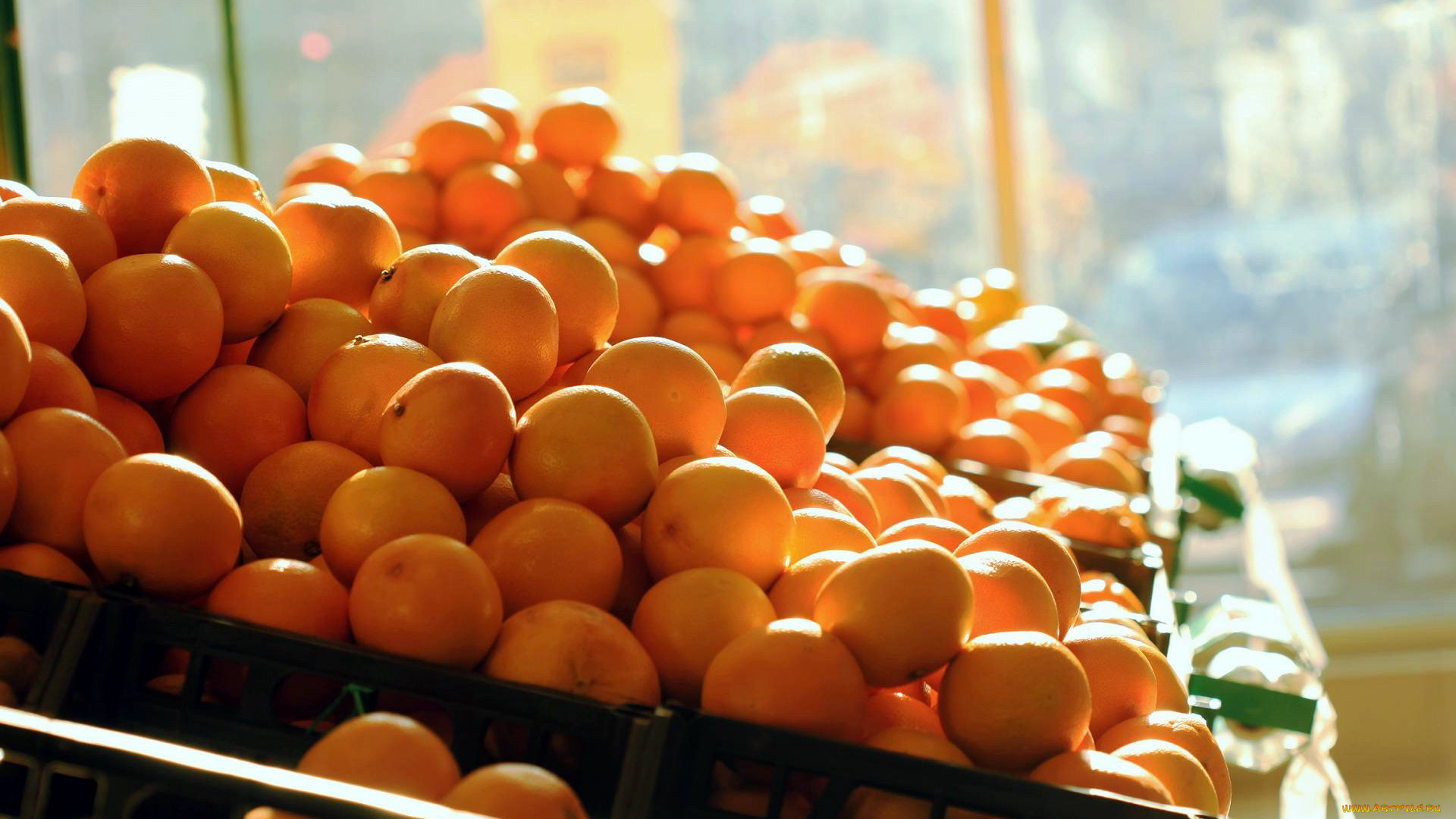 еда, цитрусы, мандарины