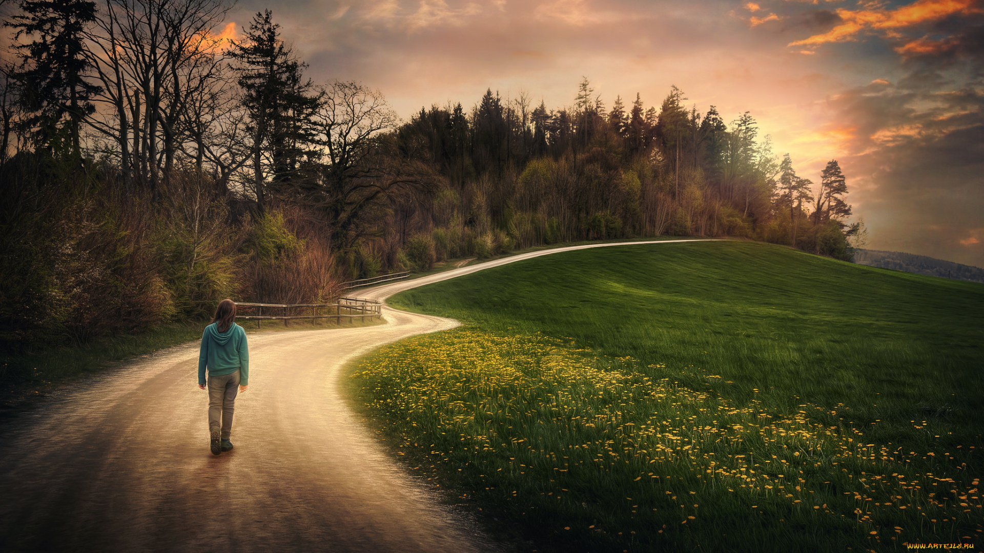 природа, дороги, дорога