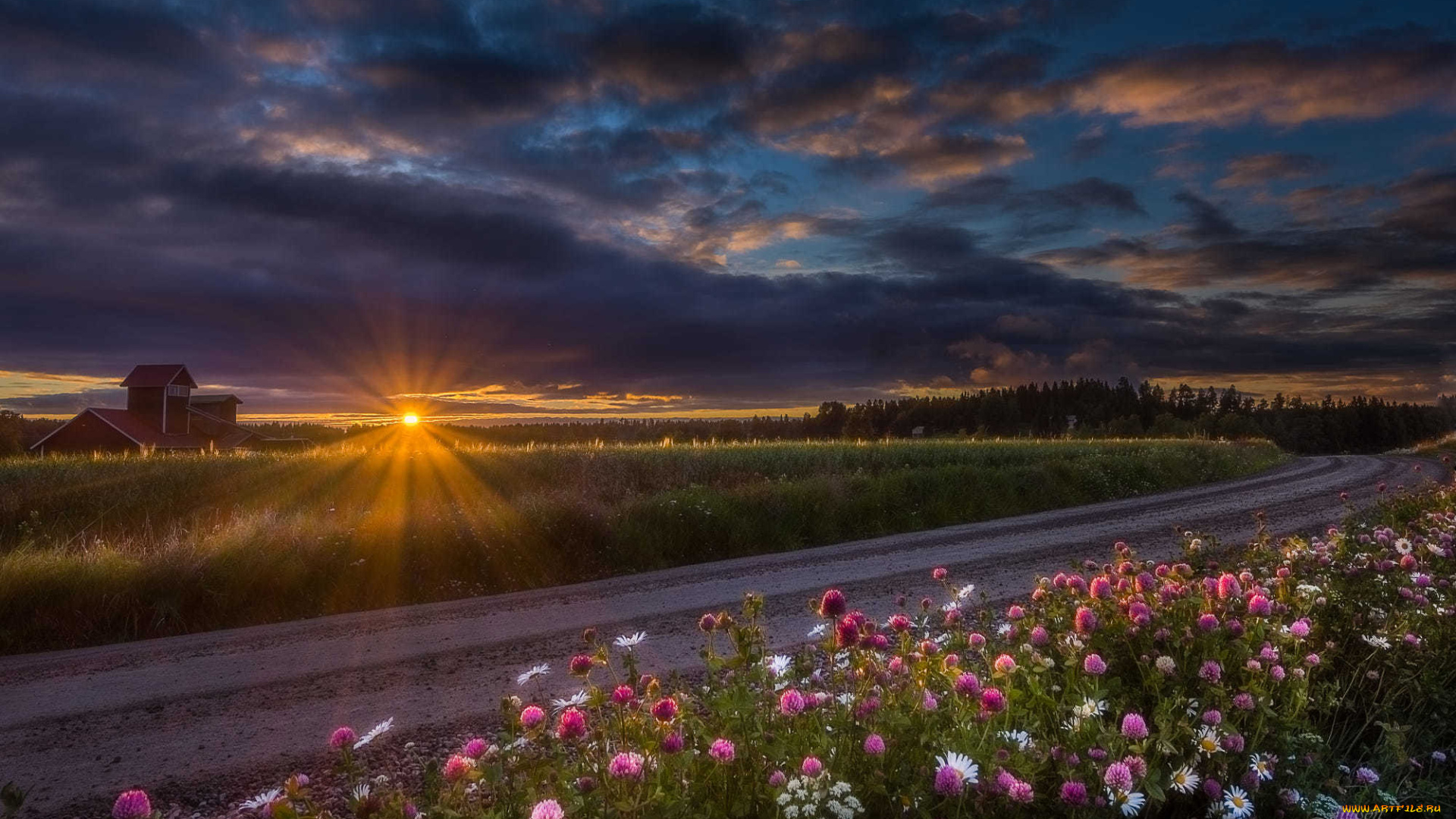природа, дороги, облака, закат, дорога, проселочная, цветы
