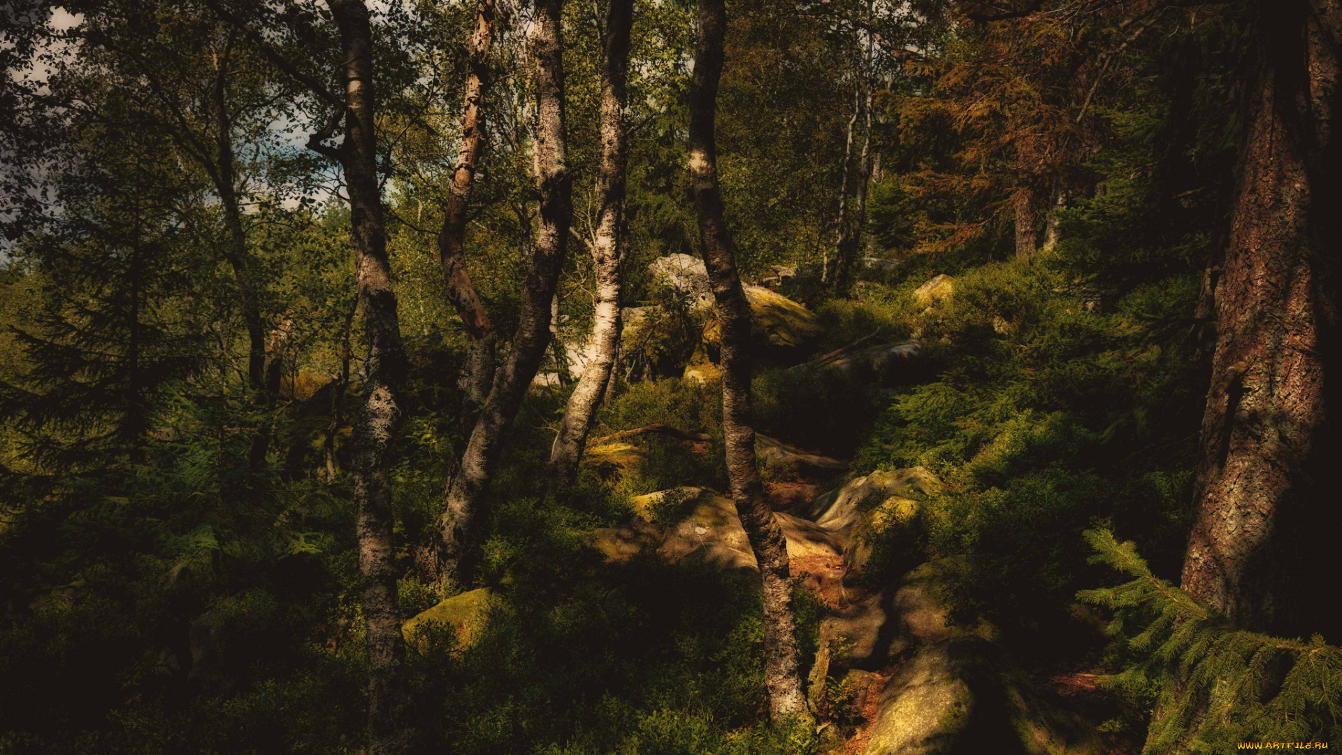 природа, лес, простор