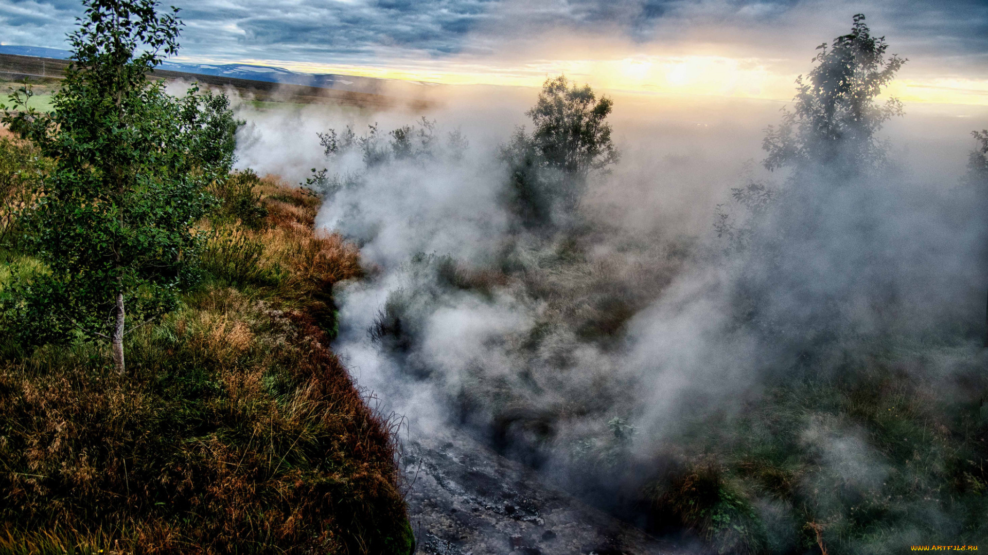 природа, лес, простор