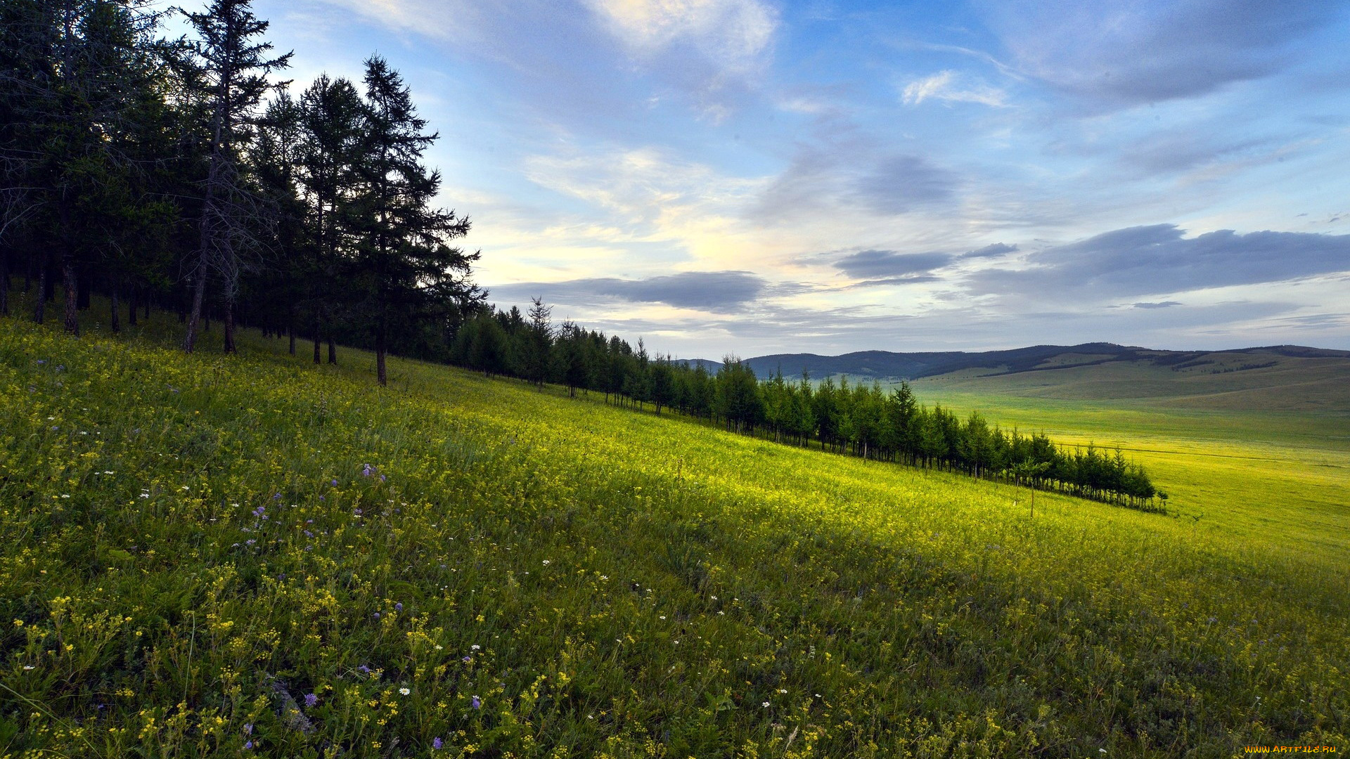 природа, луга, горы, луг, простор, лето