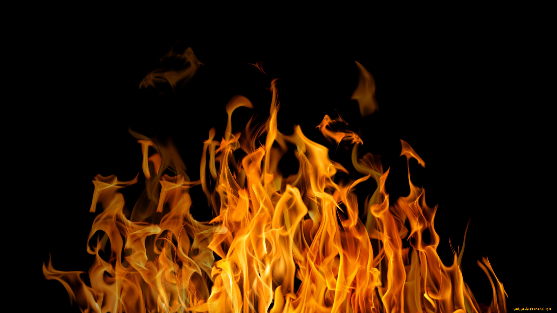 природа, огонь, fire, accelerated, oxidation, energy