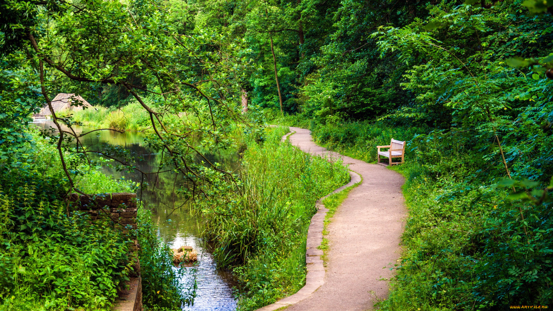 природа, парк, скамейка, водоем, аллея
