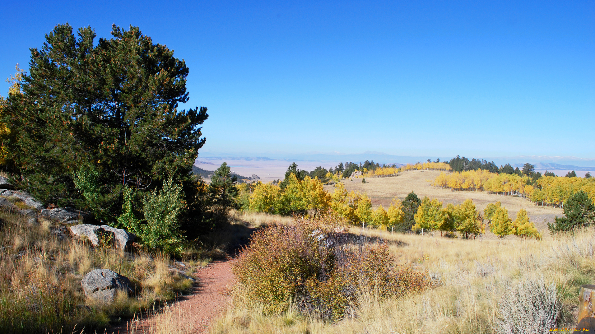 природа, пейзажи, пейзаж