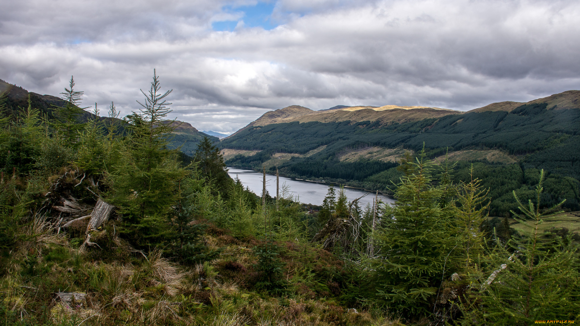 природа, пейзажи, простор