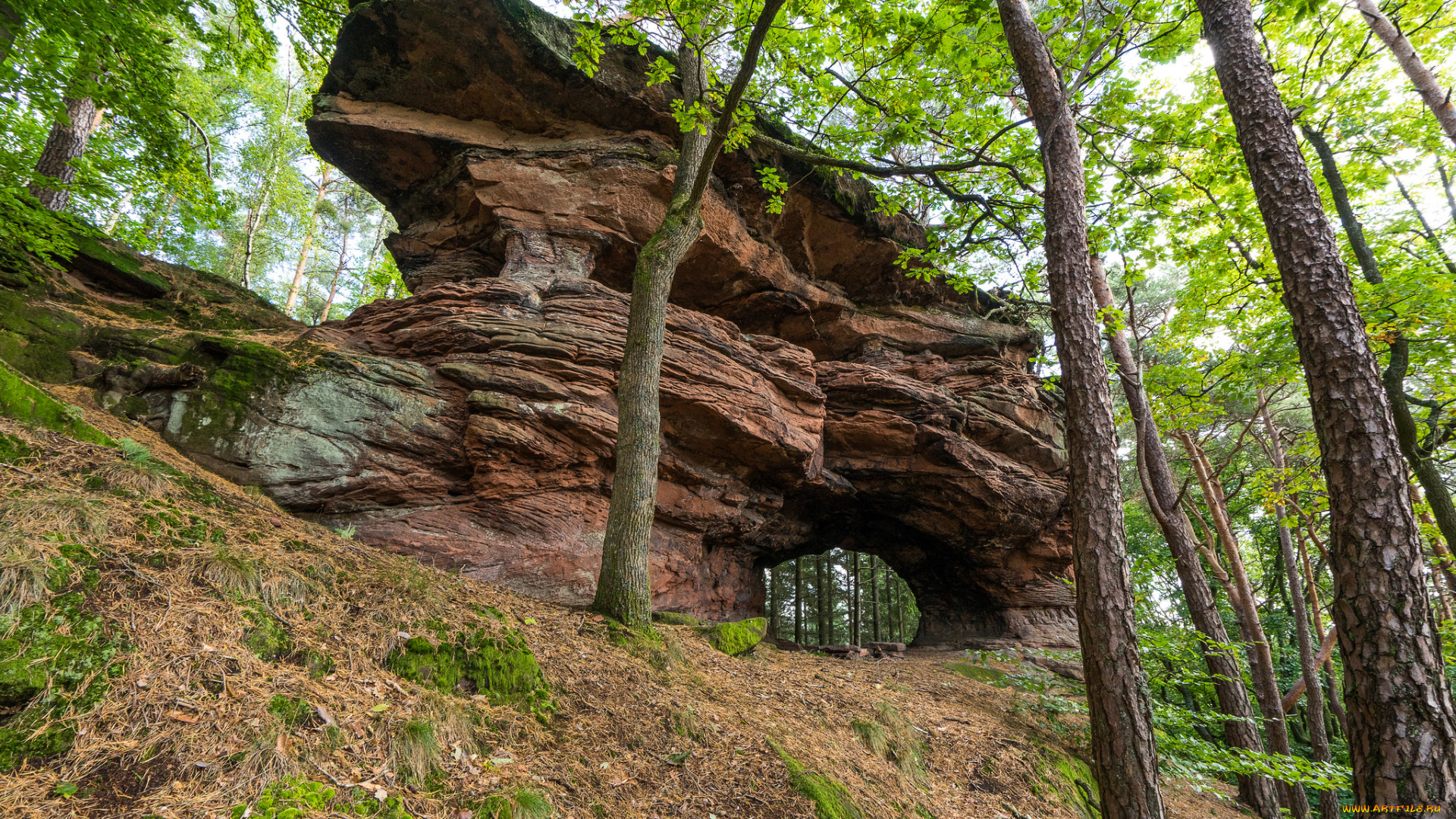природа, пейзажи, простор