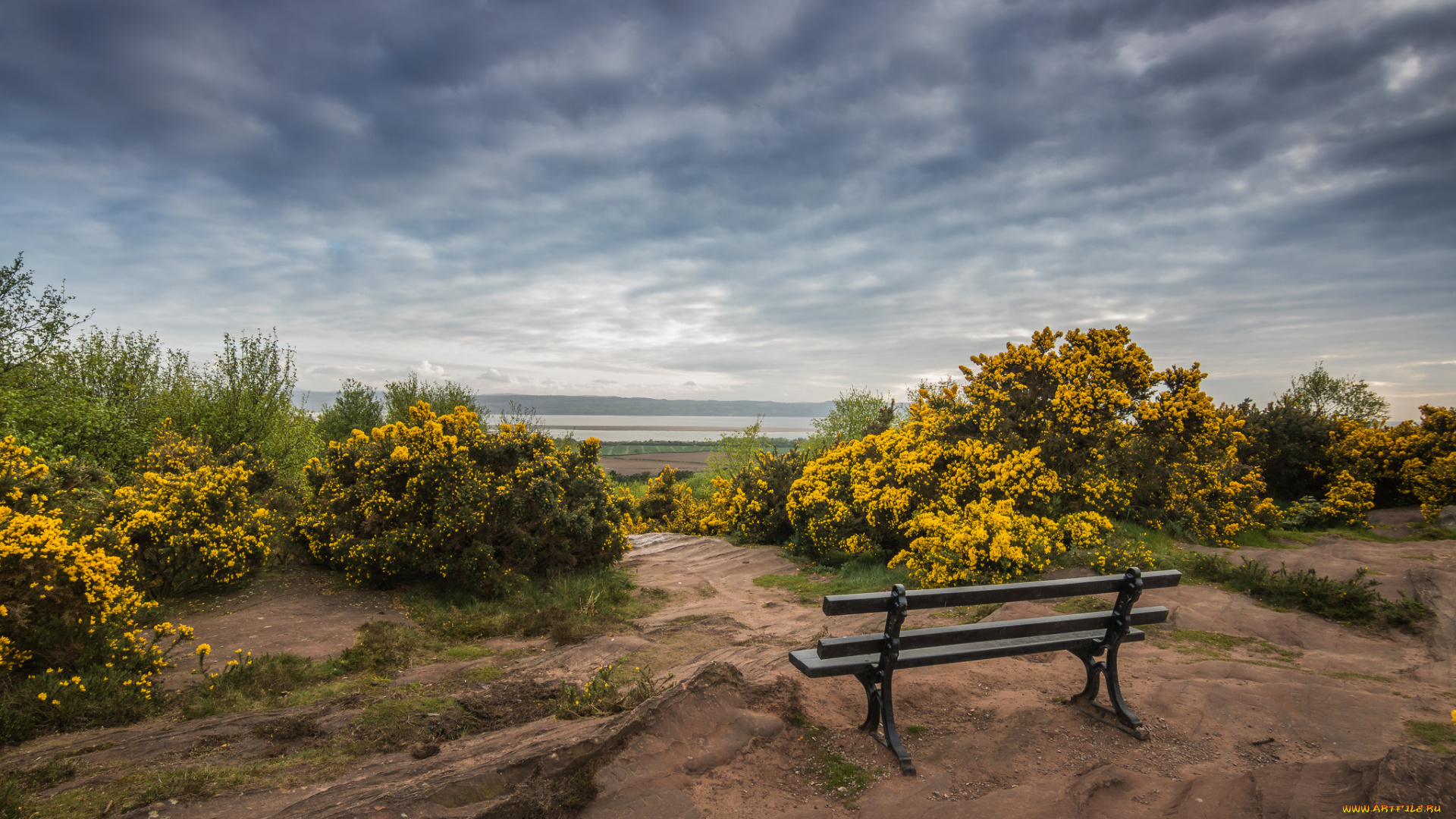 природа, пейзажи, простор