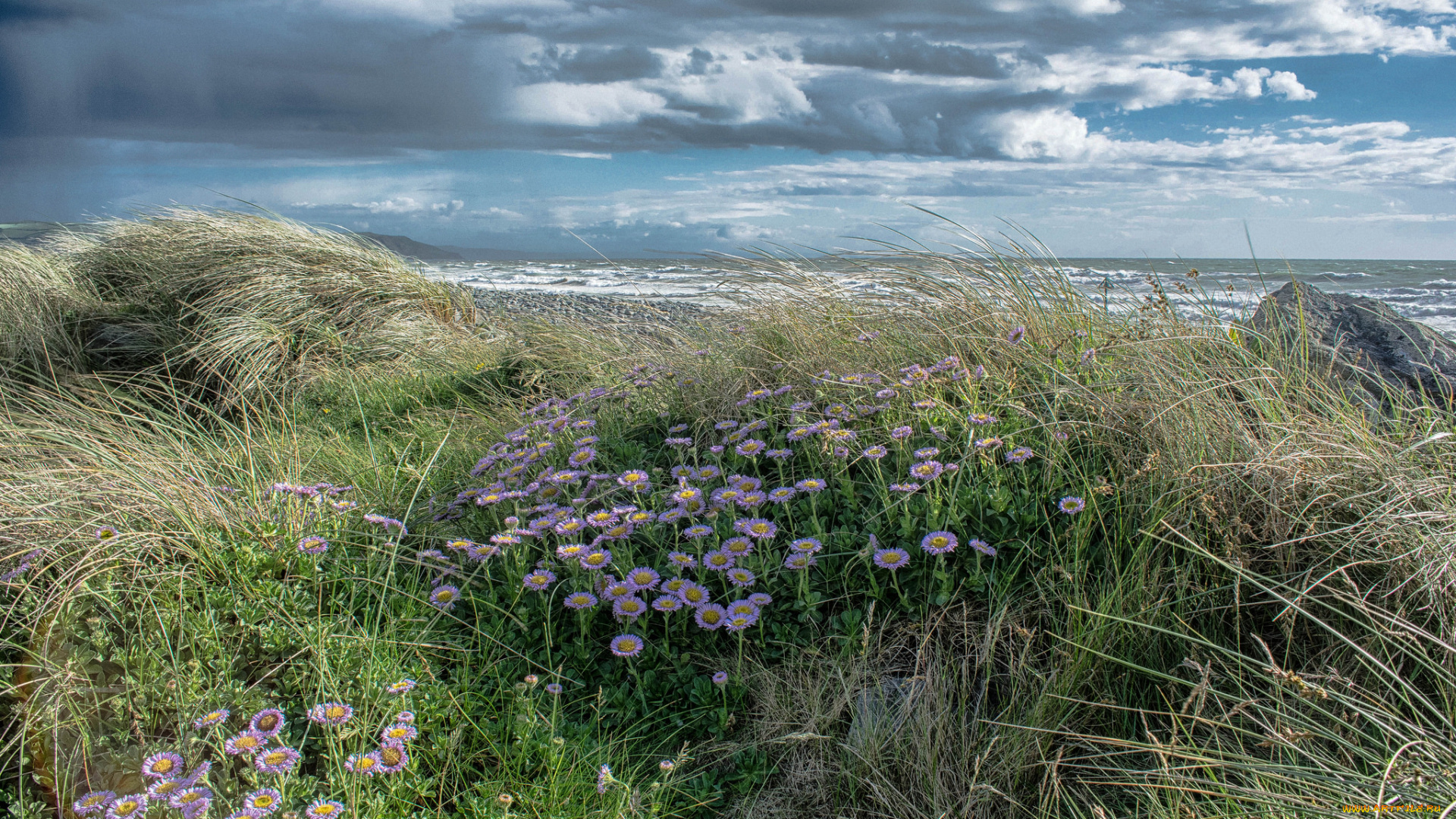 природа, побережье, простор