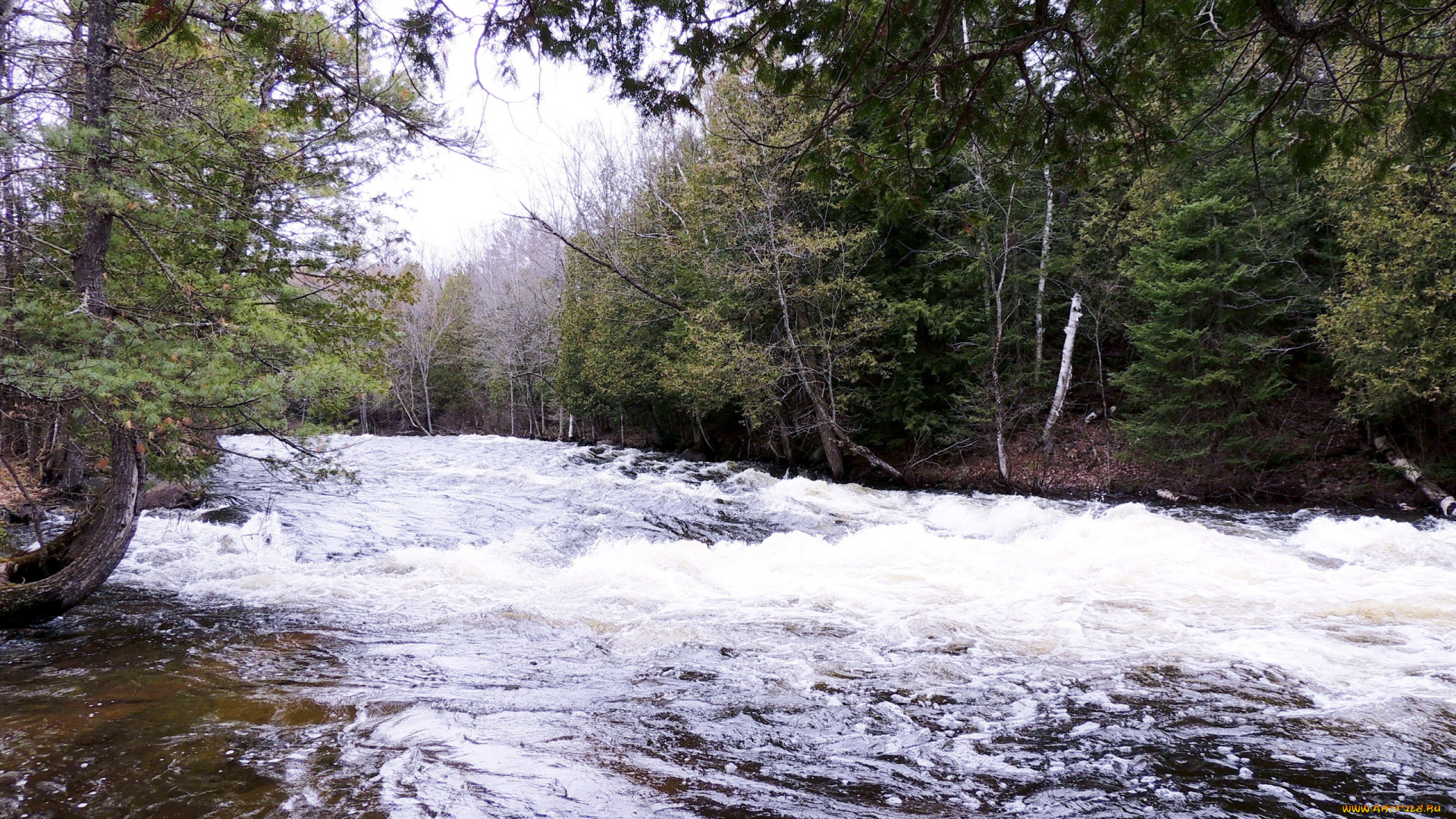 природа, реки, озера, бурная, река