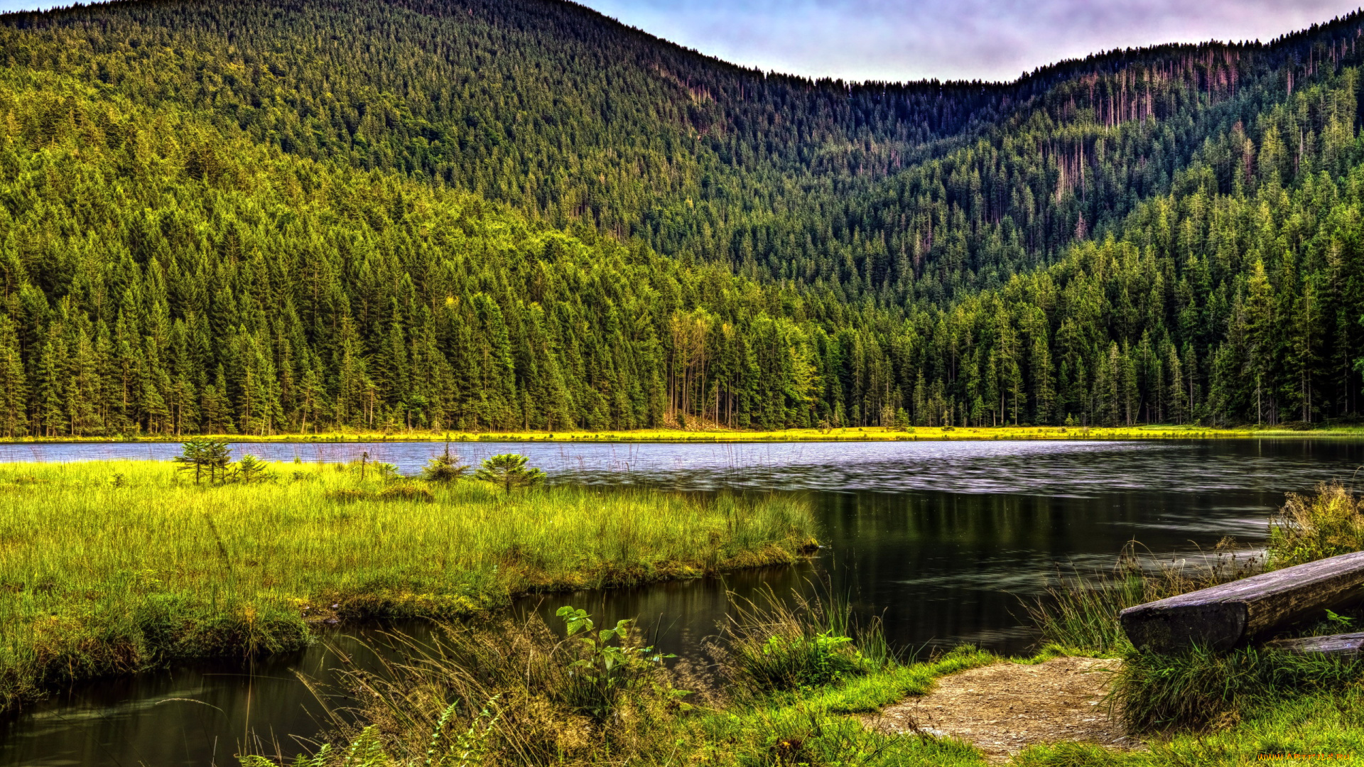 природа, реки, озера, лес, гора, река