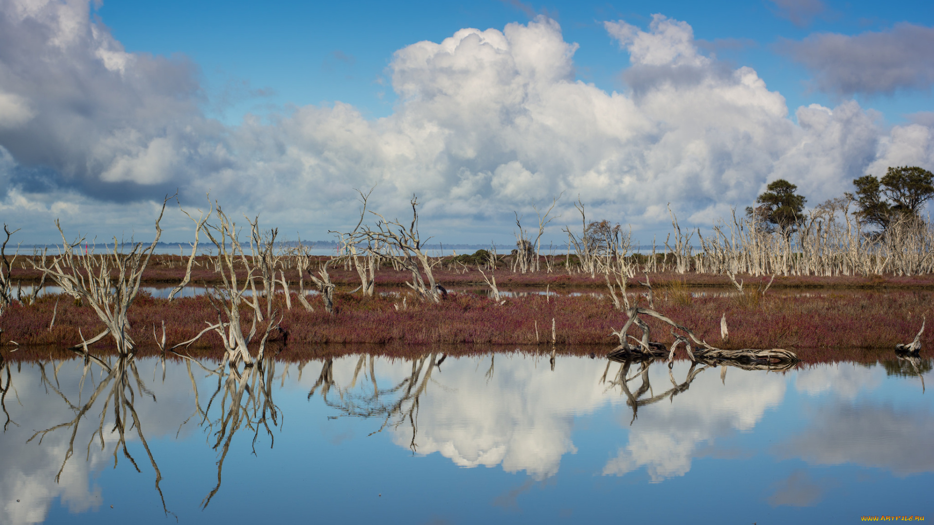 природа, реки, озера, отражение
