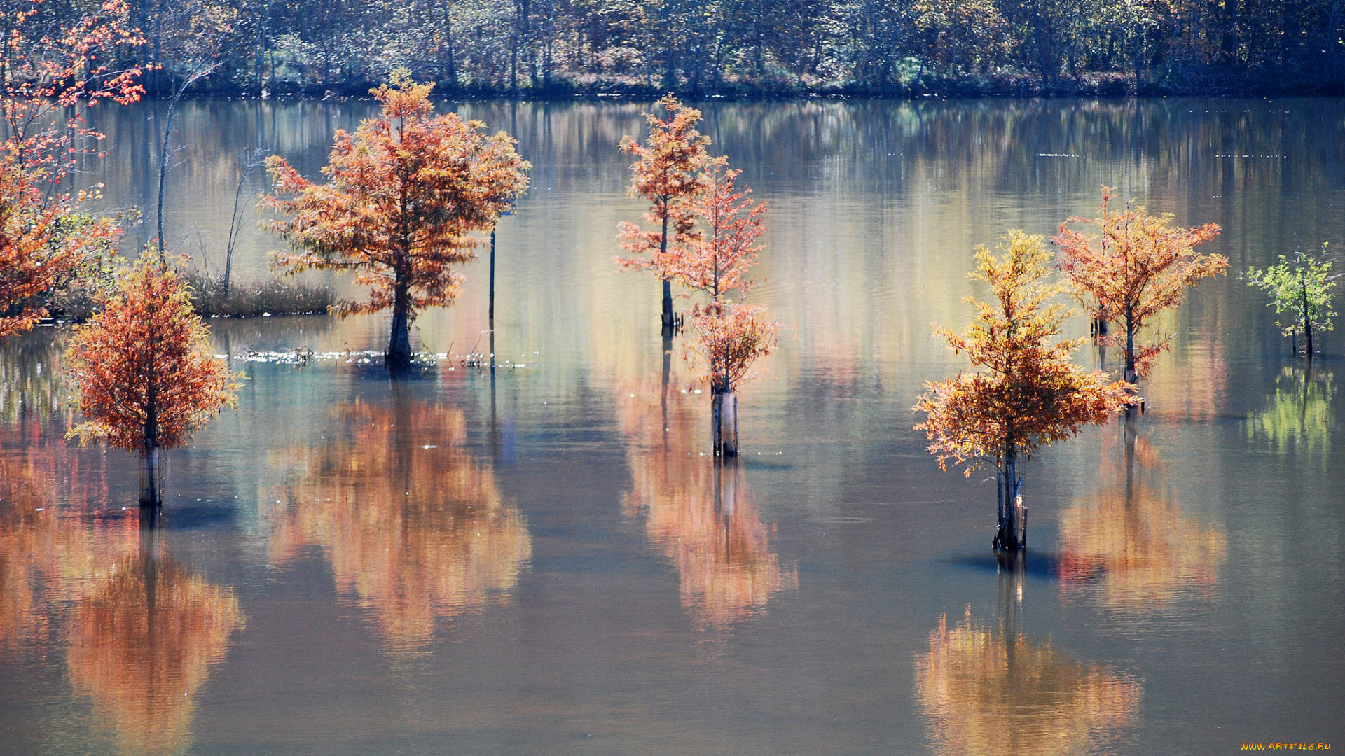 природа, реки, озера, озеро