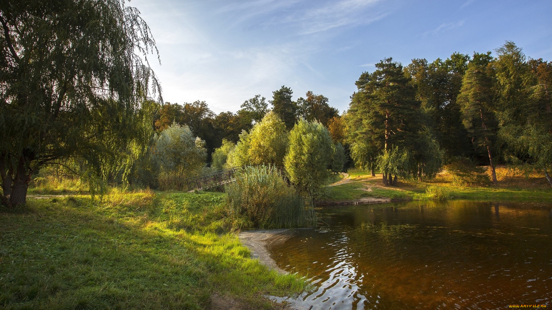 природа, реки, озера, озеро, трава, лес, cordovan, рябь, теплая, осень