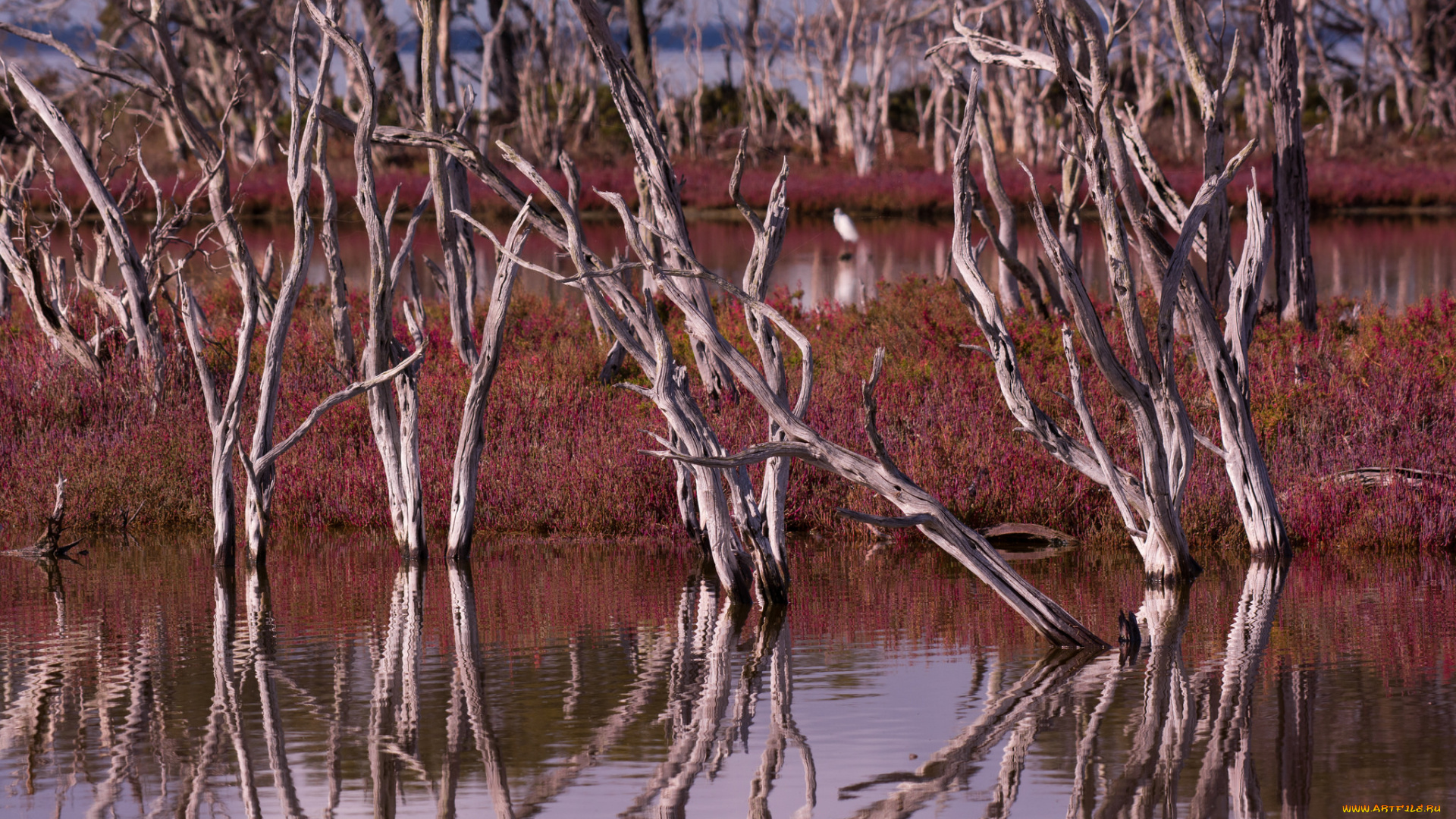 природа, реки, озера, плавни