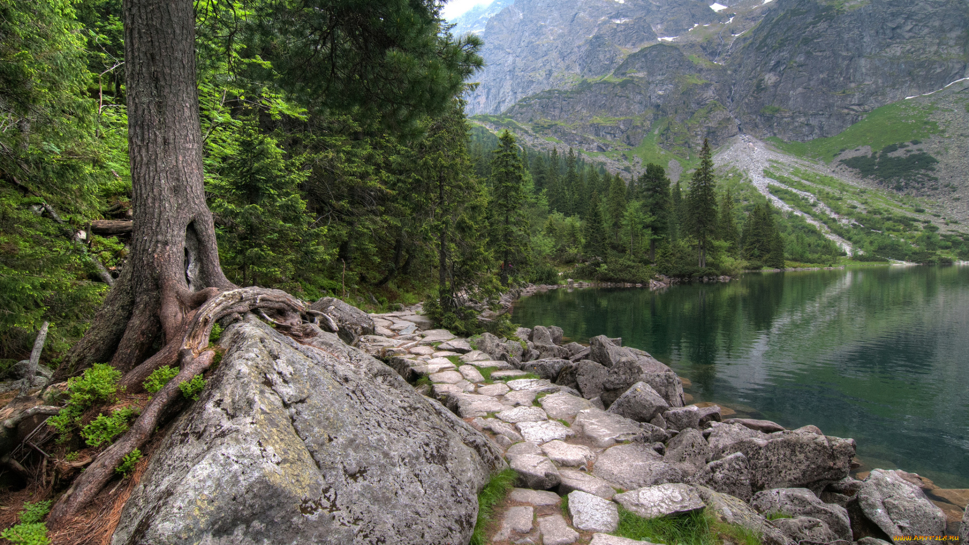 природа, реки, озера, простор