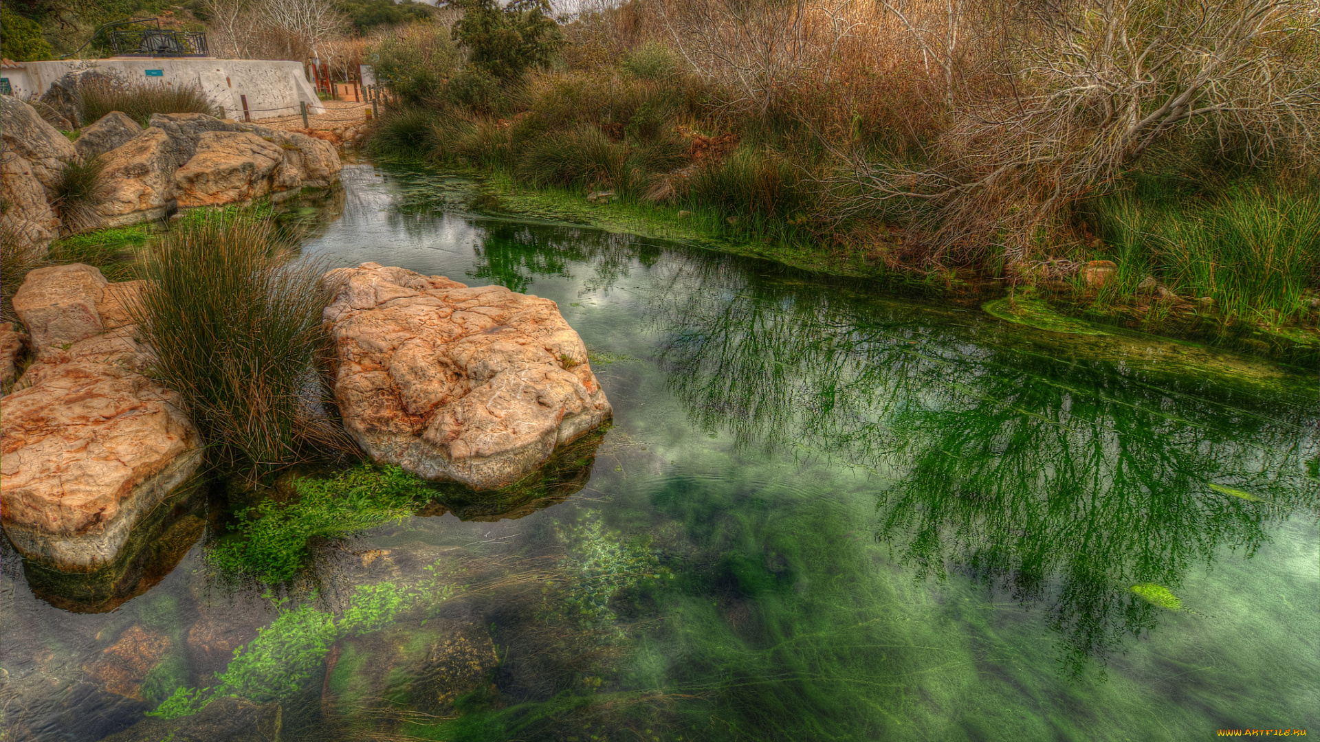 природа, реки, озера, простор